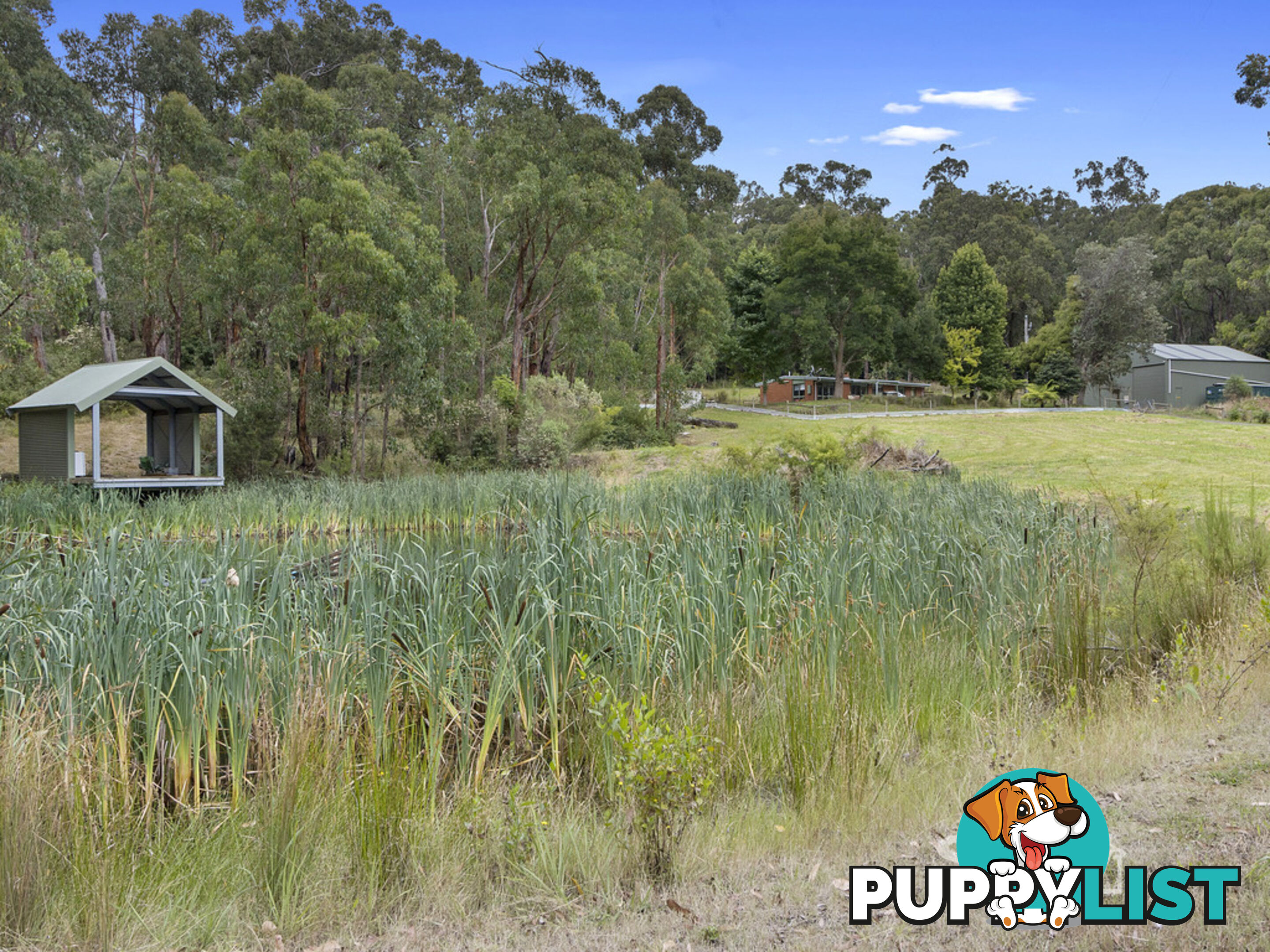 180 Boorool Road BOOROOL VIC 3953