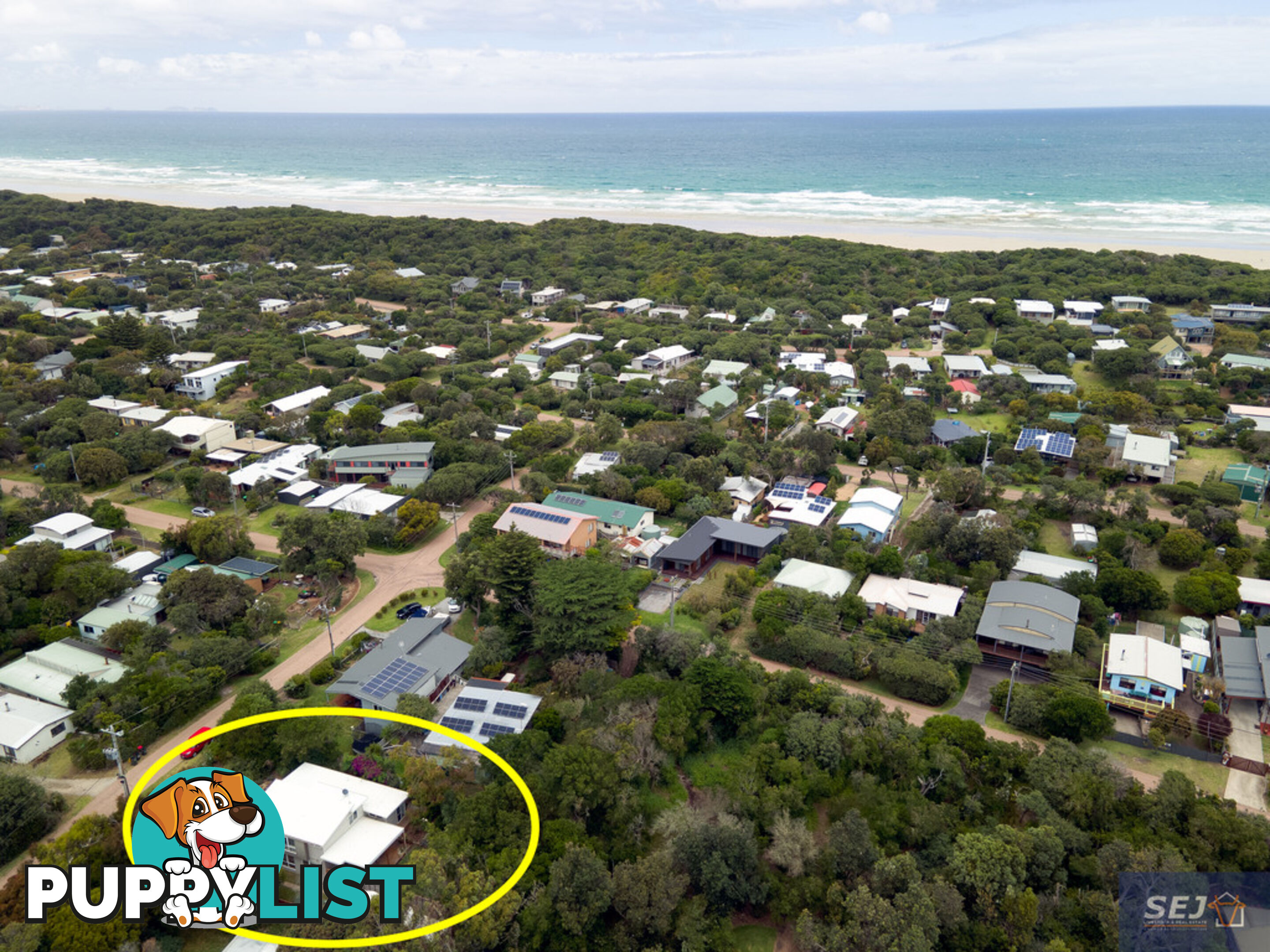 5 Tecoma Avenue SANDY POINT VIC 3959