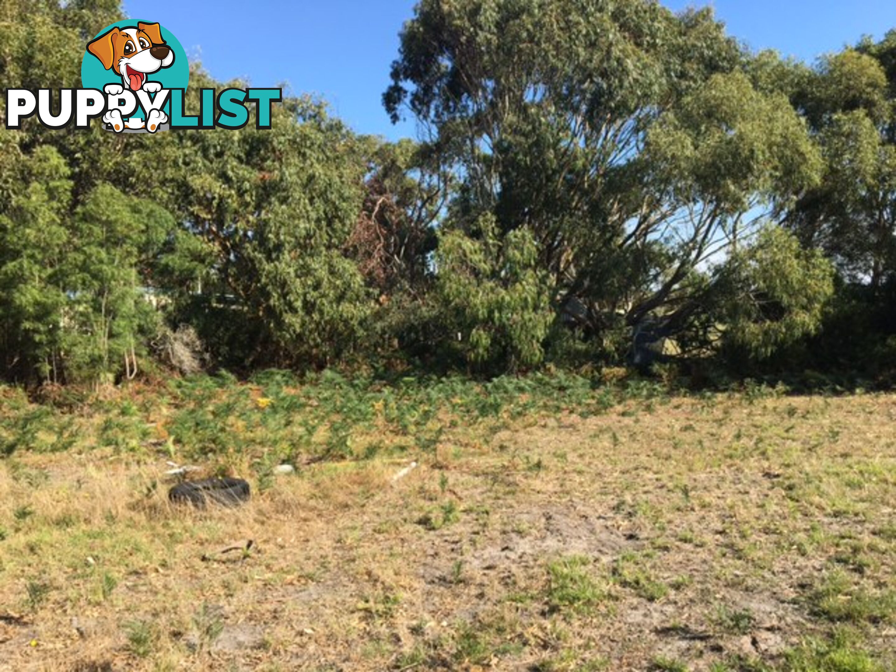 75 Grevillia St WALKERVILLE VIC 3956