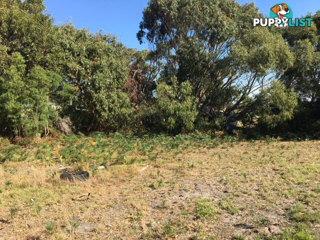 75 Grevillia St WALKERVILLE VIC 3956