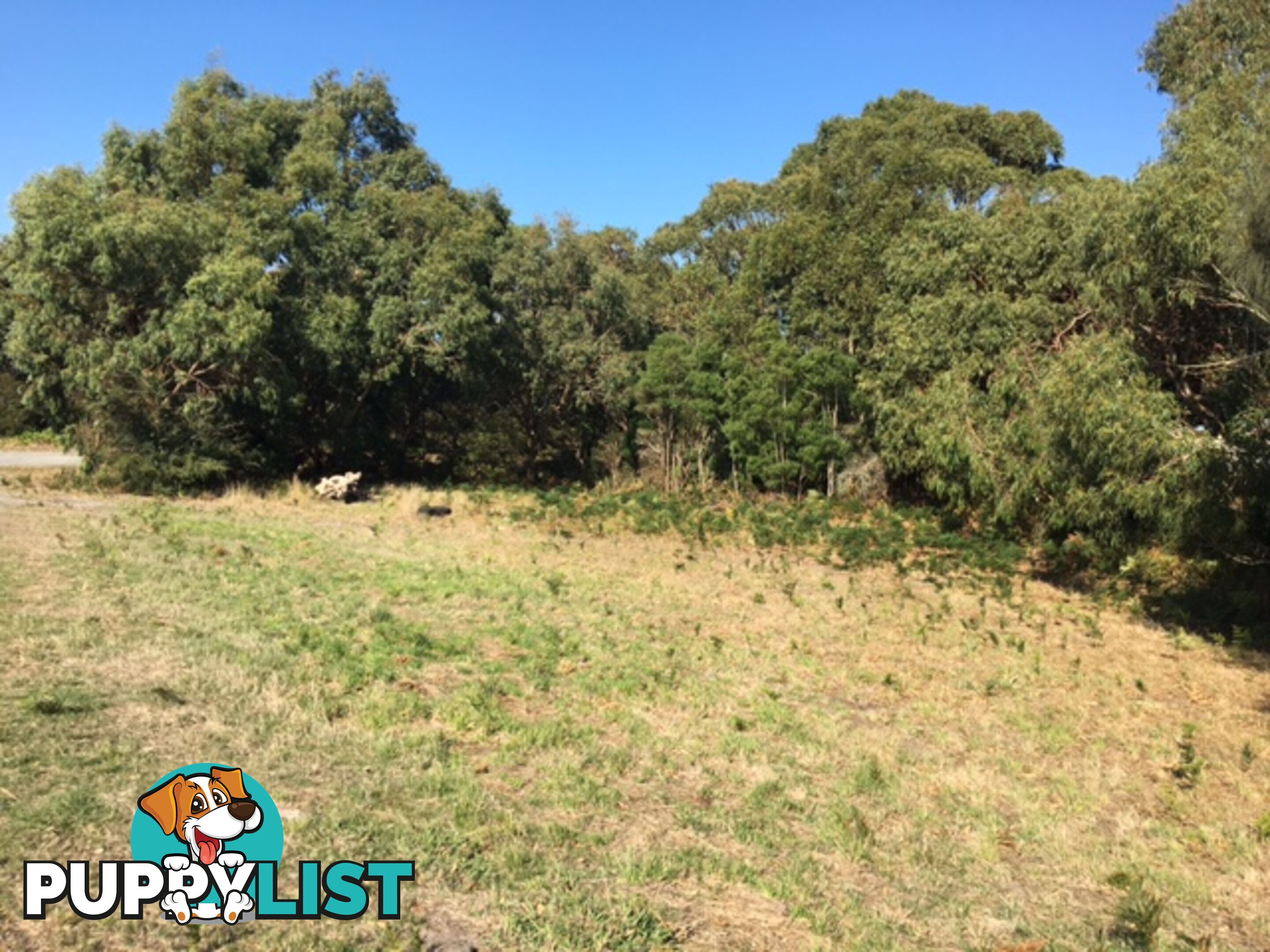 75 Grevillia St WALKERVILLE VIC 3956