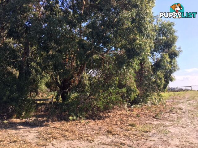 75 Grevillia St WALKERVILLE VIC 3956