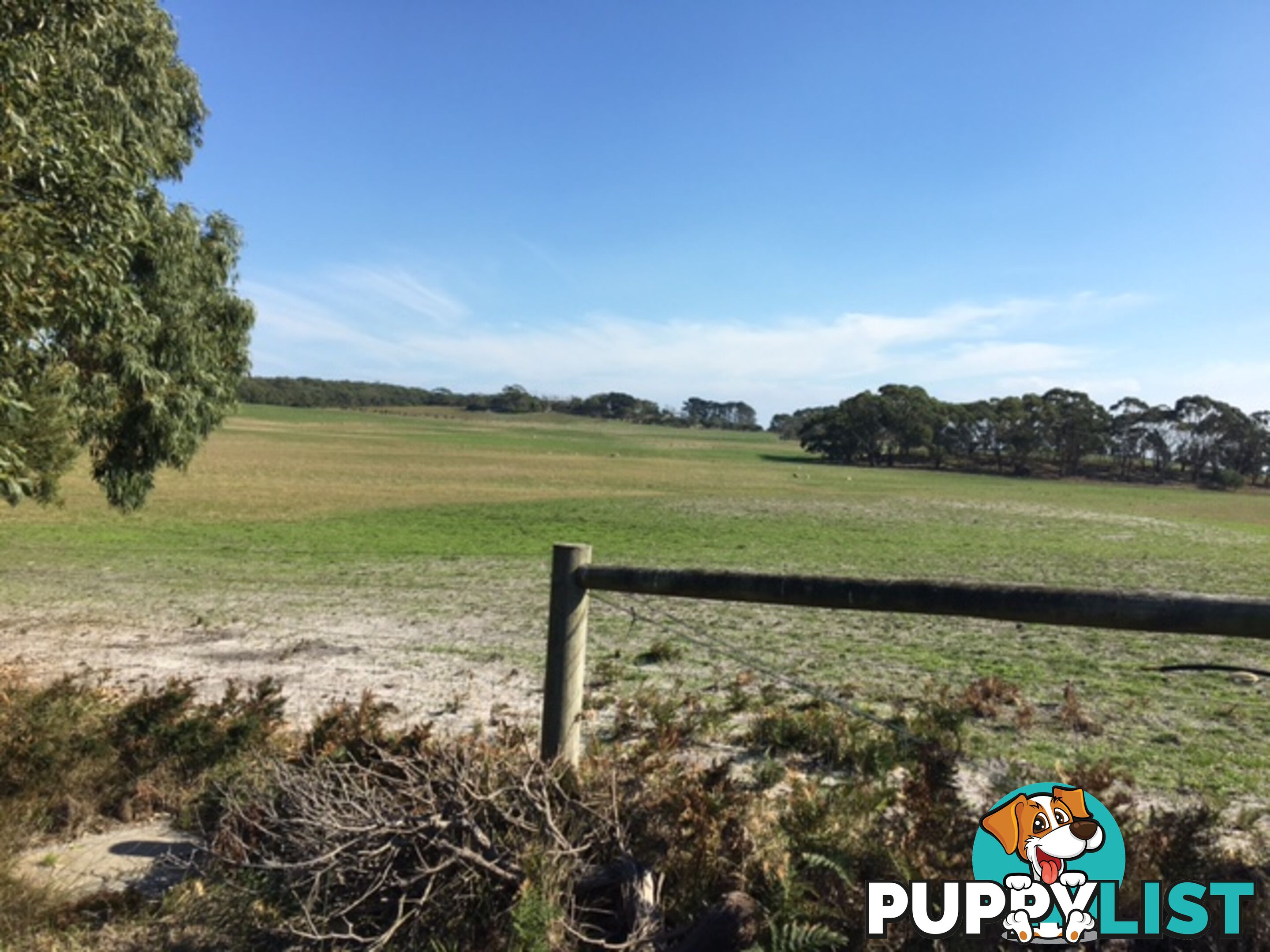 75 Grevillia St WALKERVILLE VIC 3956