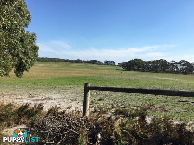 75 Grevillia St WALKERVILLE VIC 3956