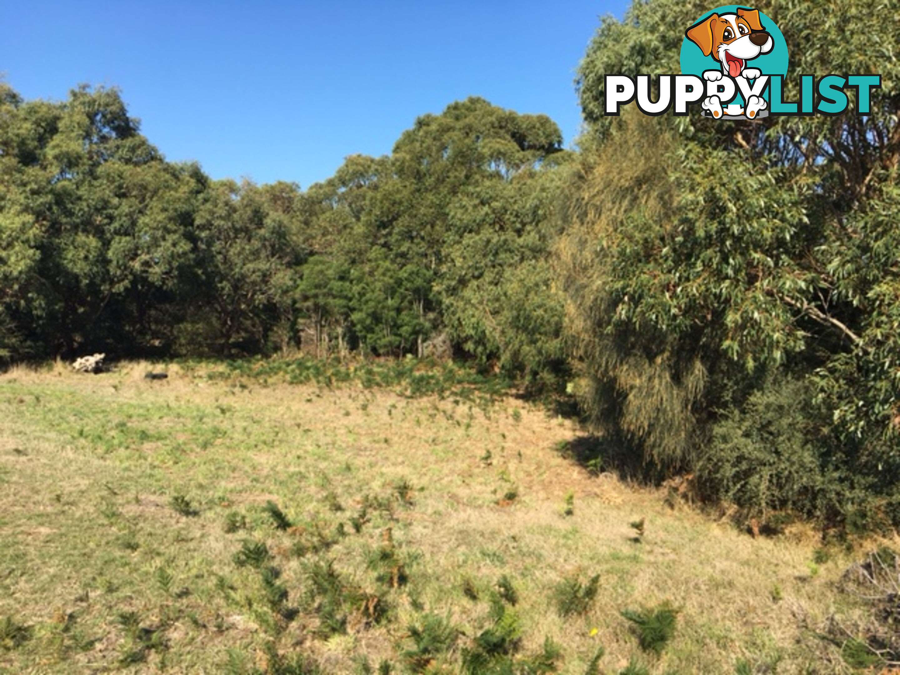 75 Grevillia St WALKERVILLE VIC 3956