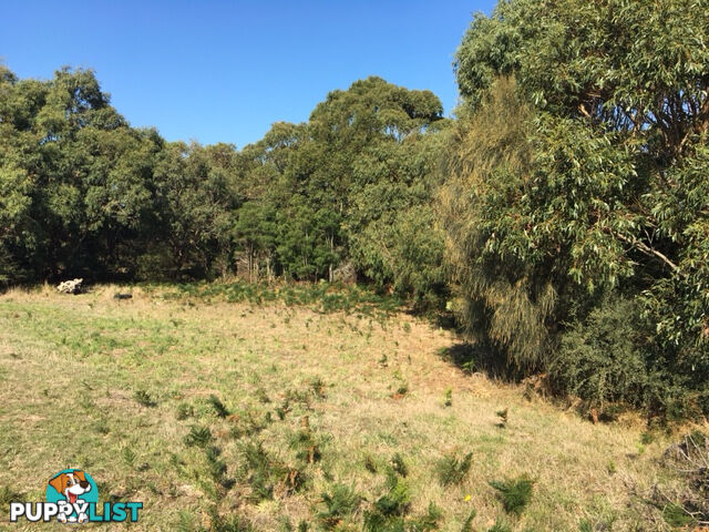75 Grevillia St WALKERVILLE VIC 3956