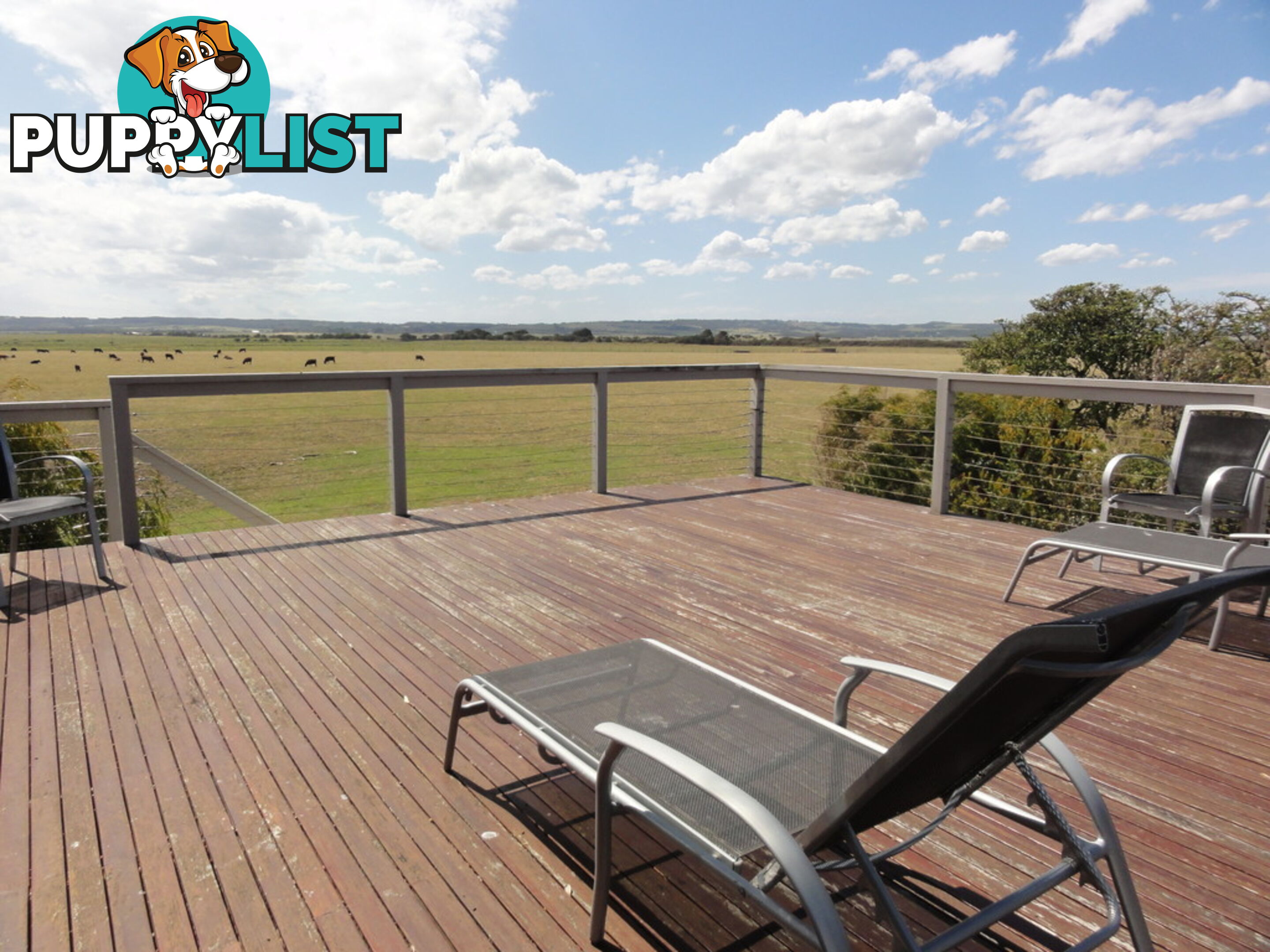 14 Wattle Court SANDY POINT VIC 3959
