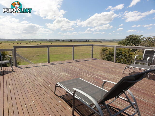 14 Wattle Court SANDY POINT VIC 3959