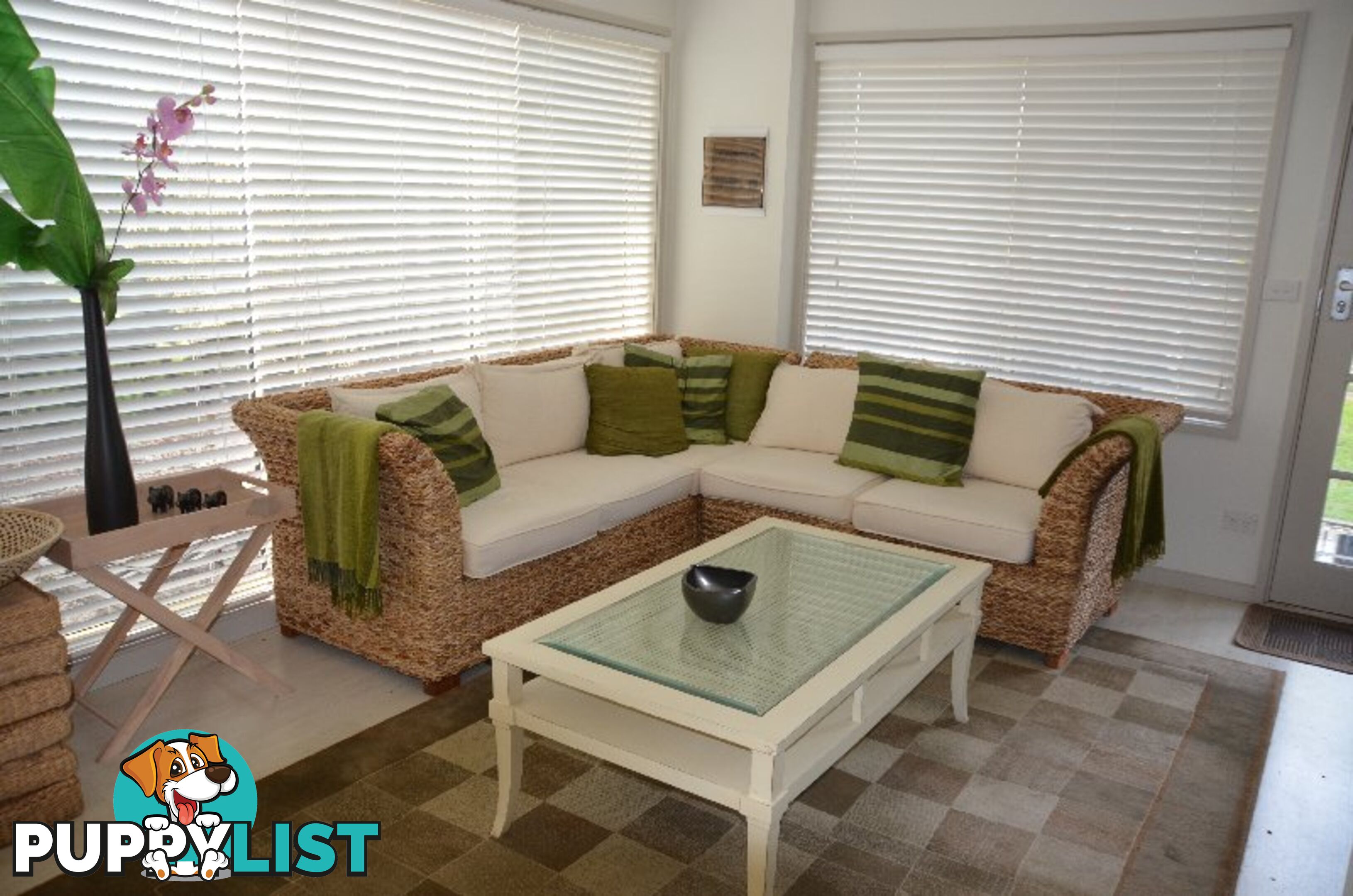 14 Wattle Court SANDY POINT VIC 3959