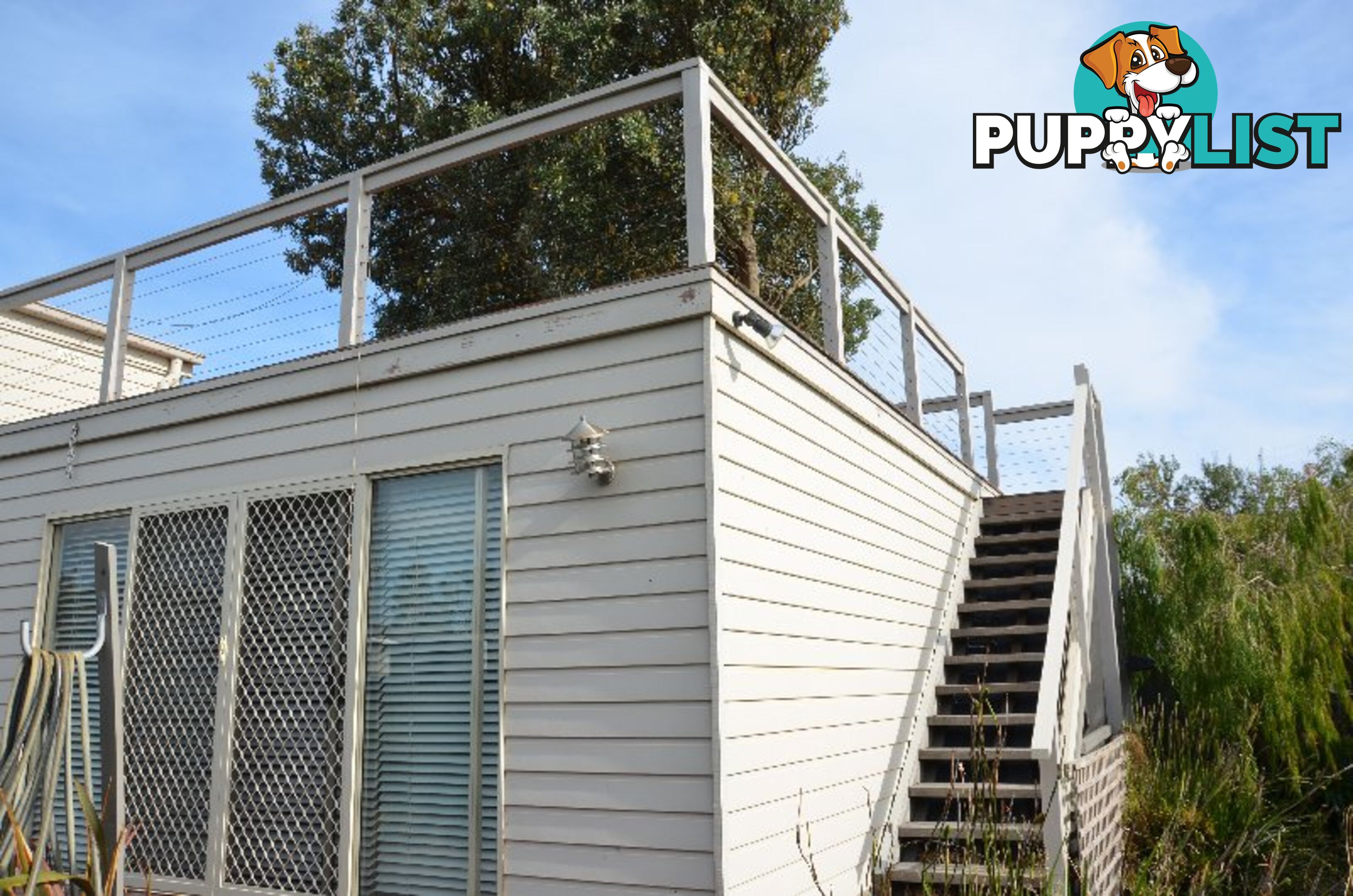 14 Wattle Court SANDY POINT VIC 3959