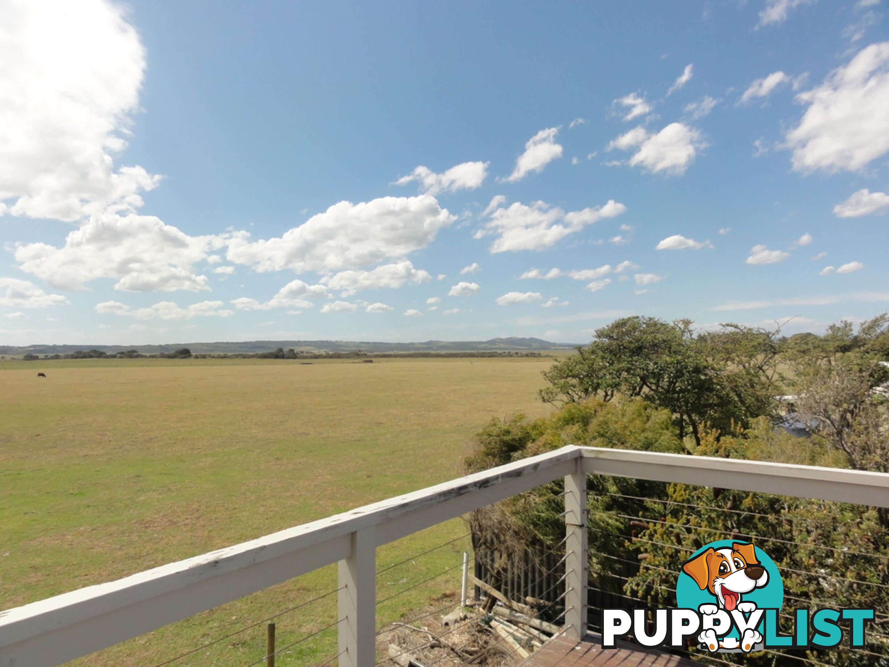 14 Wattle Court SANDY POINT VIC 3959