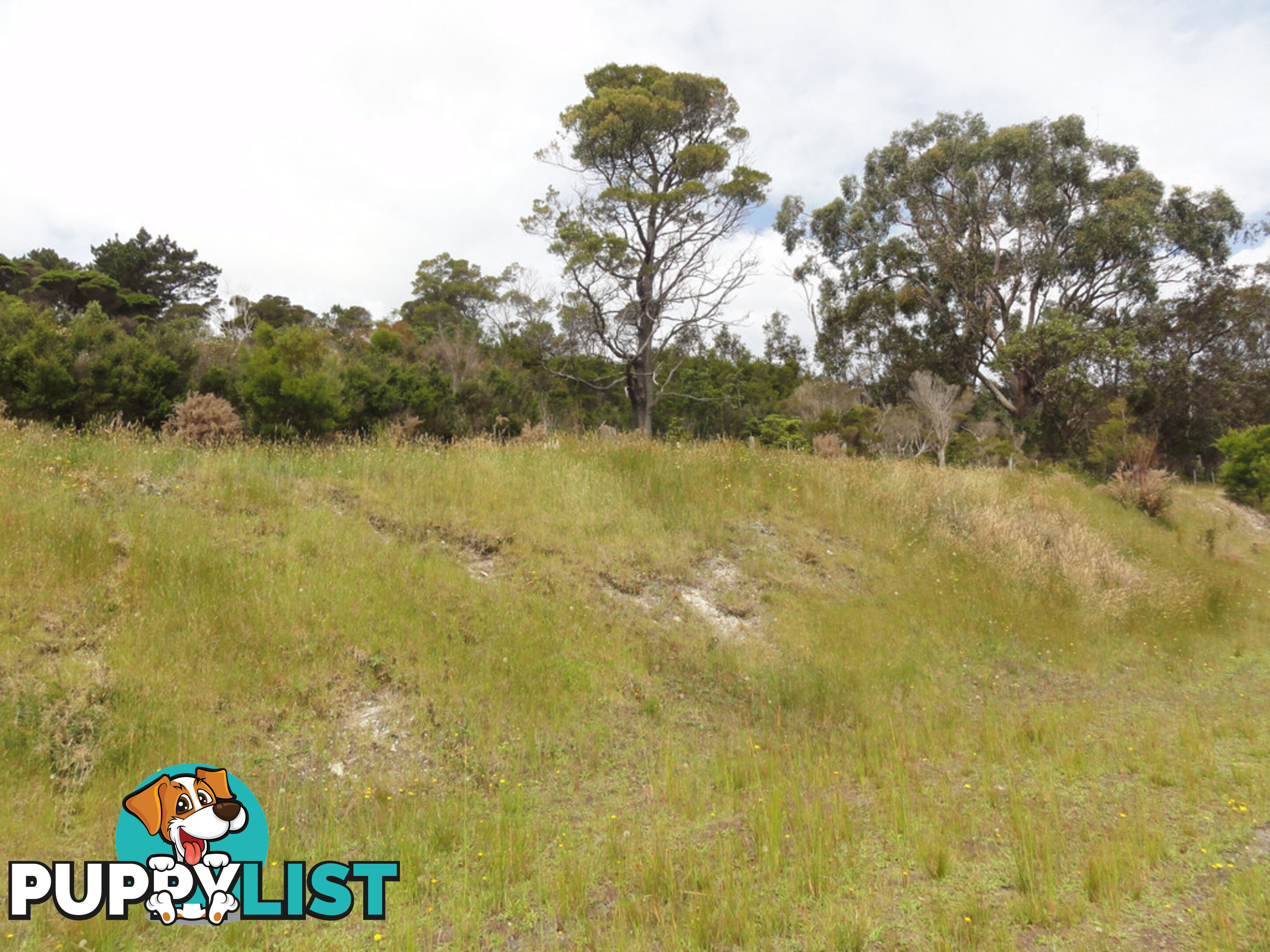 8 Heath Rise FOSTER VIC 3960
