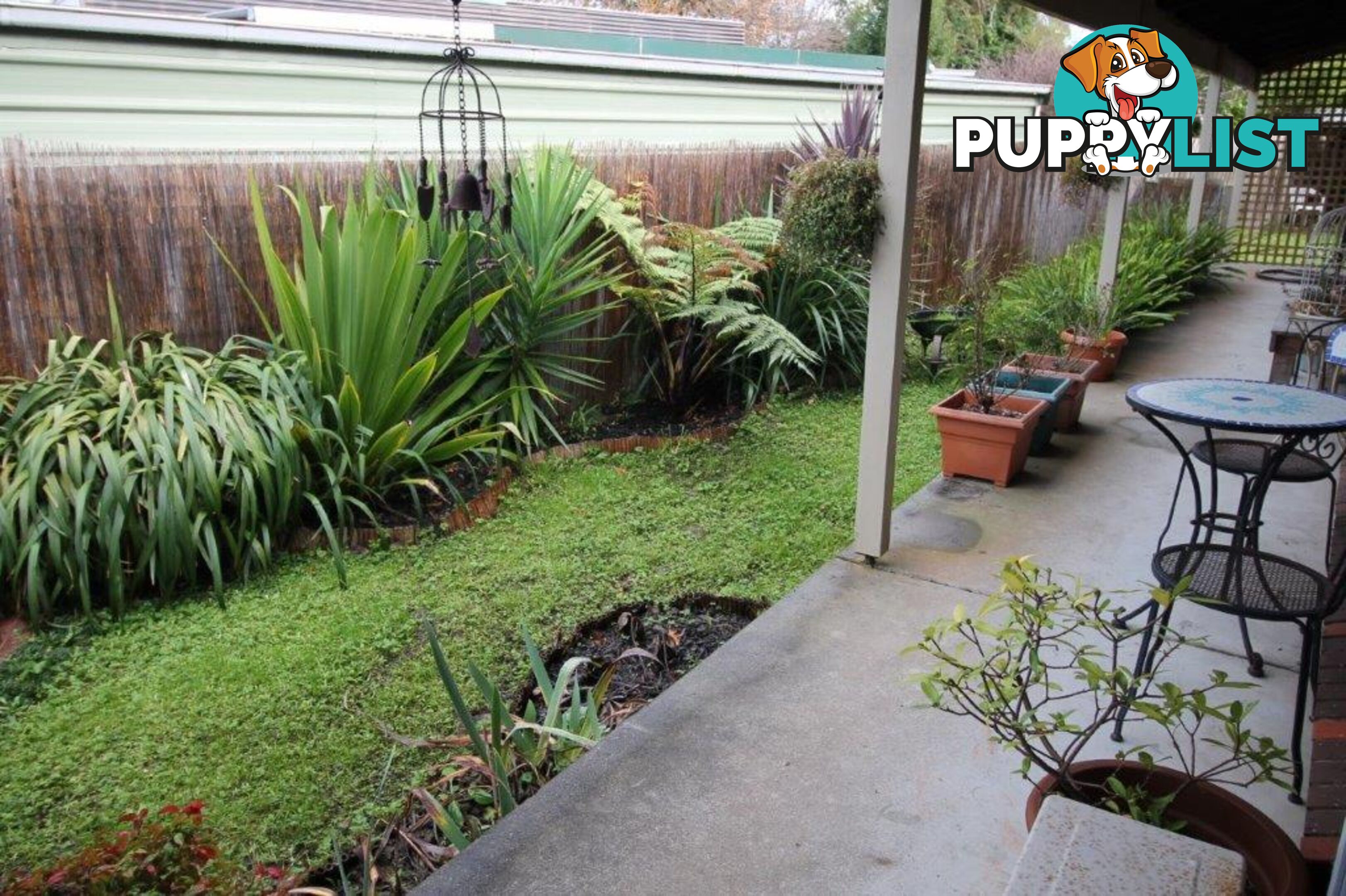 17 Collis St FOSTER VIC 3960