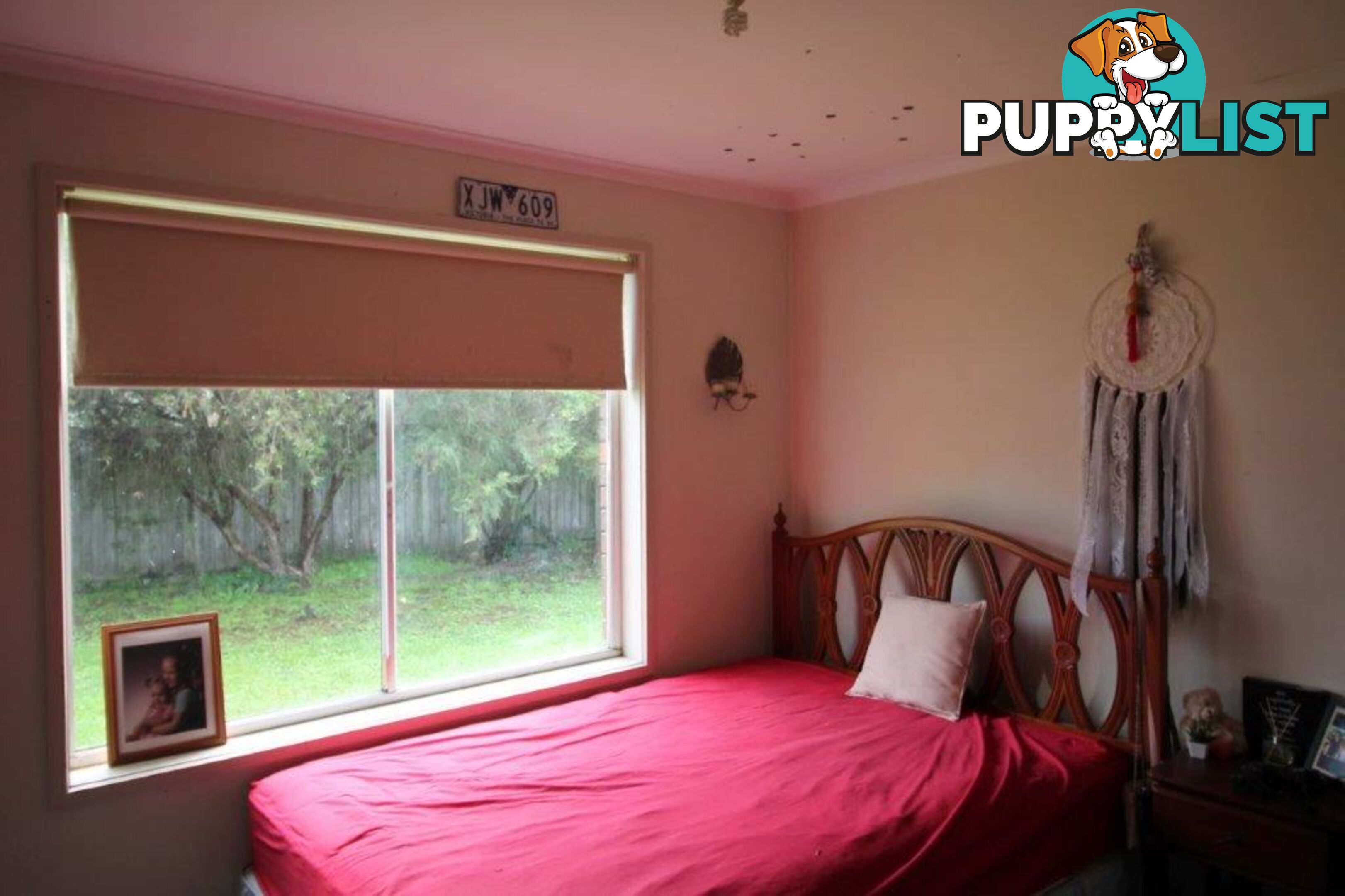17 Collis St FOSTER VIC 3960