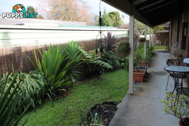 17 Collis St FOSTER VIC 3960