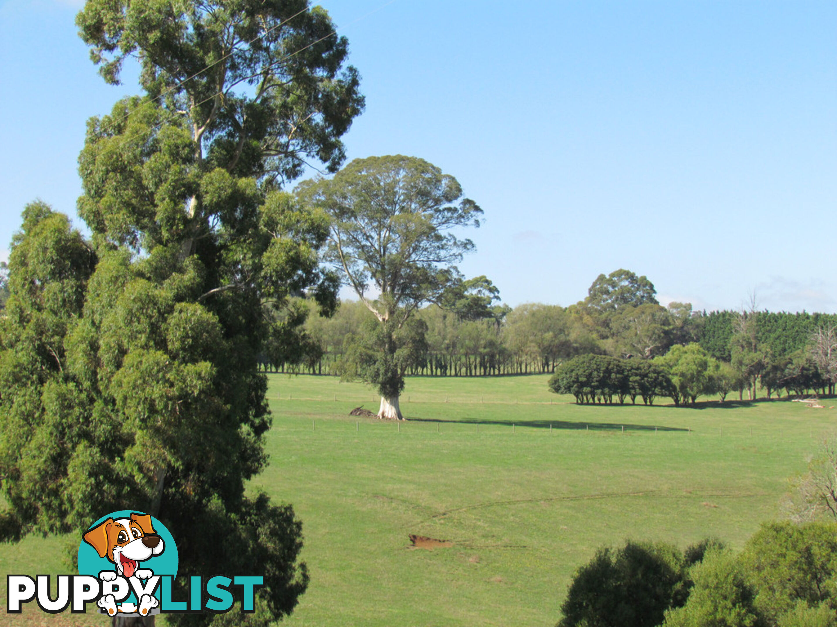 100 SAWYER ROAD NEERIM SOUTH VIC 3831