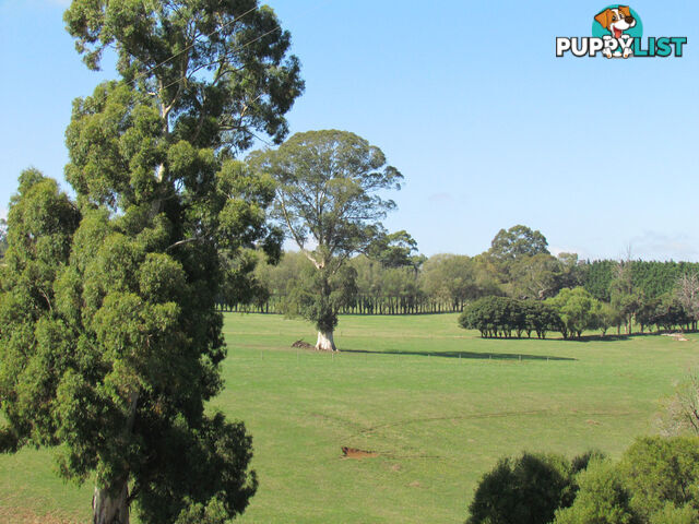 100 SAWYER ROAD NEERIM SOUTH VIC 3831