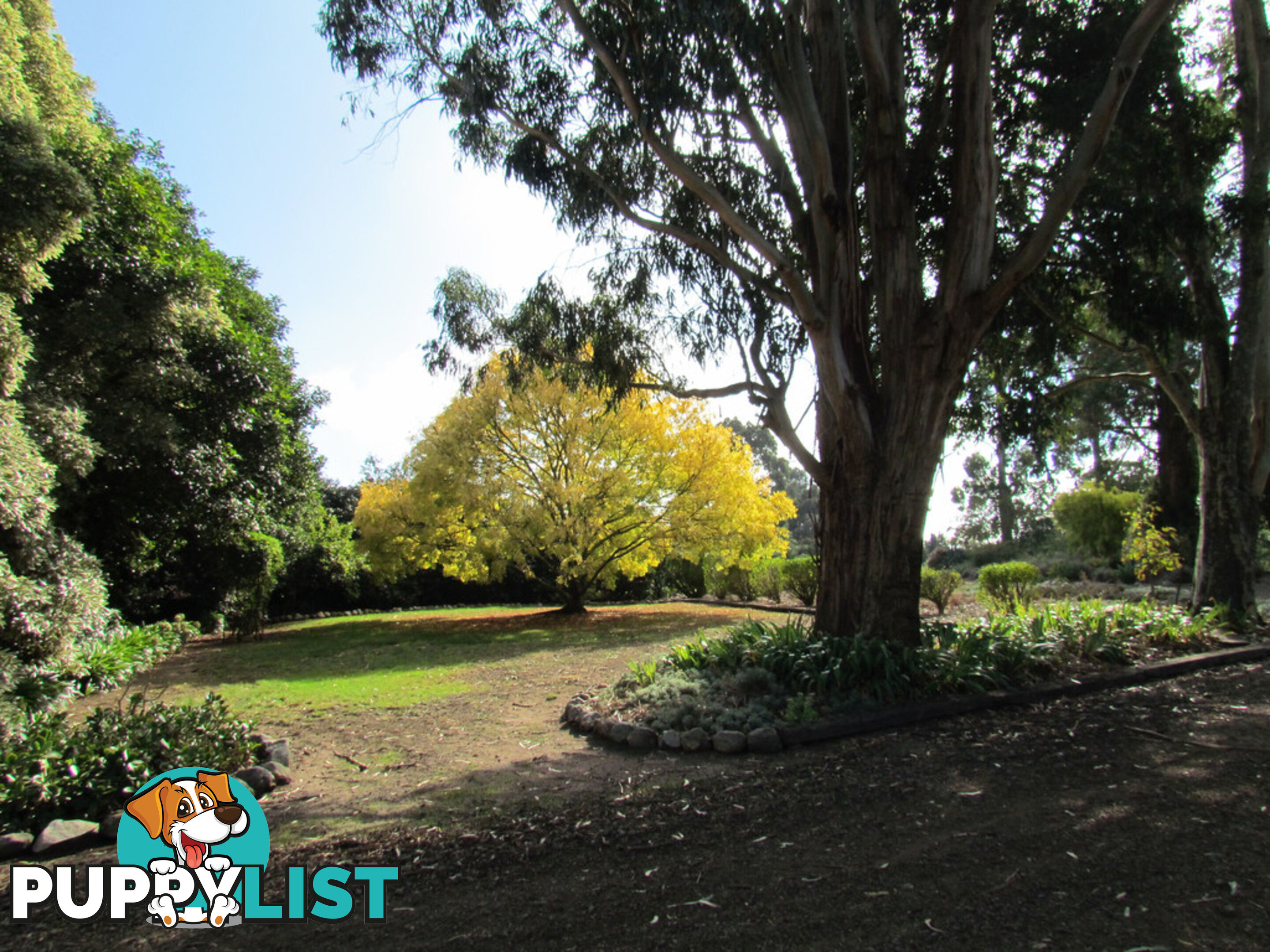 100 SAWYER ROAD NEERIM SOUTH VIC 3831