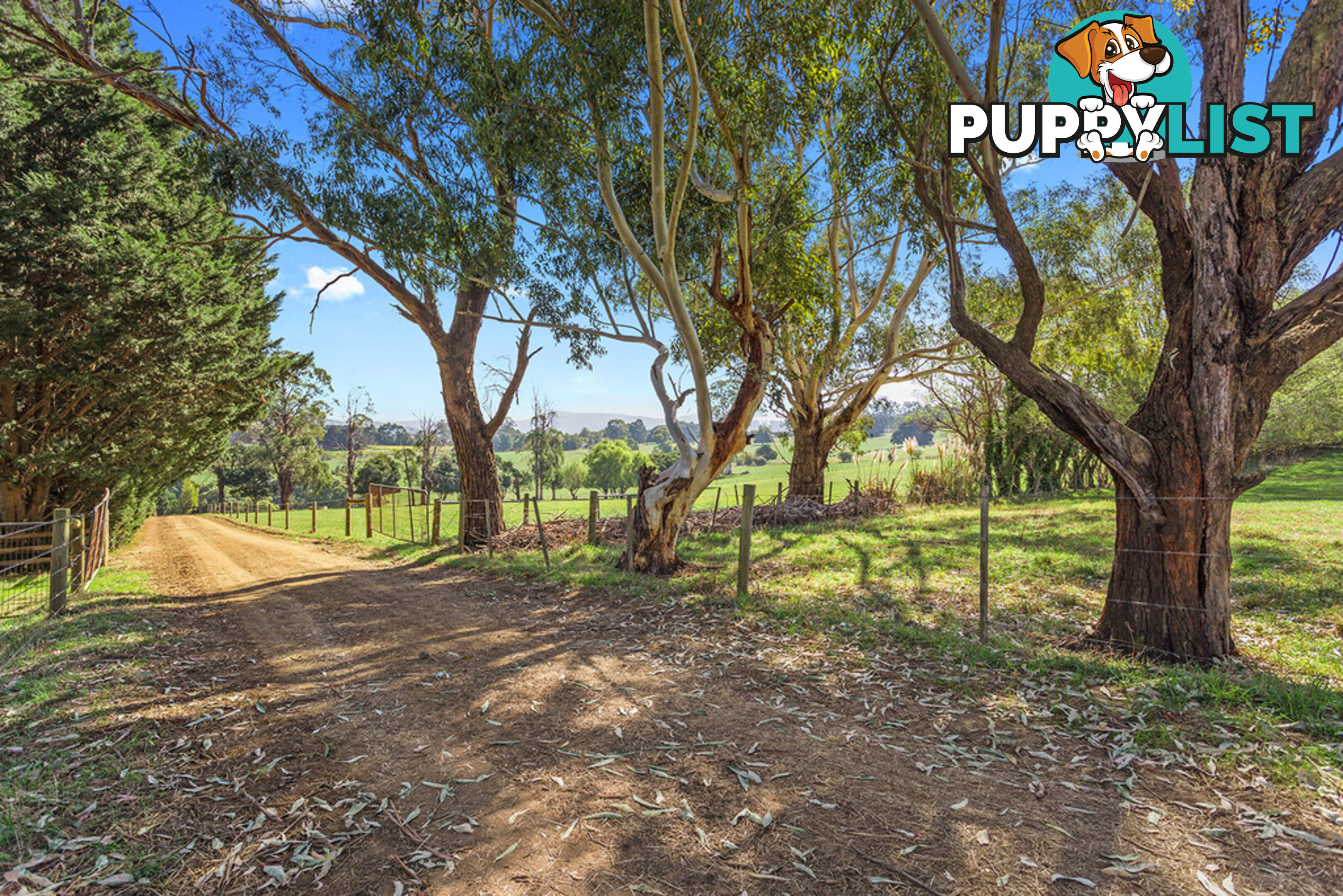 100 SAWYER ROAD NEERIM SOUTH VIC 3831