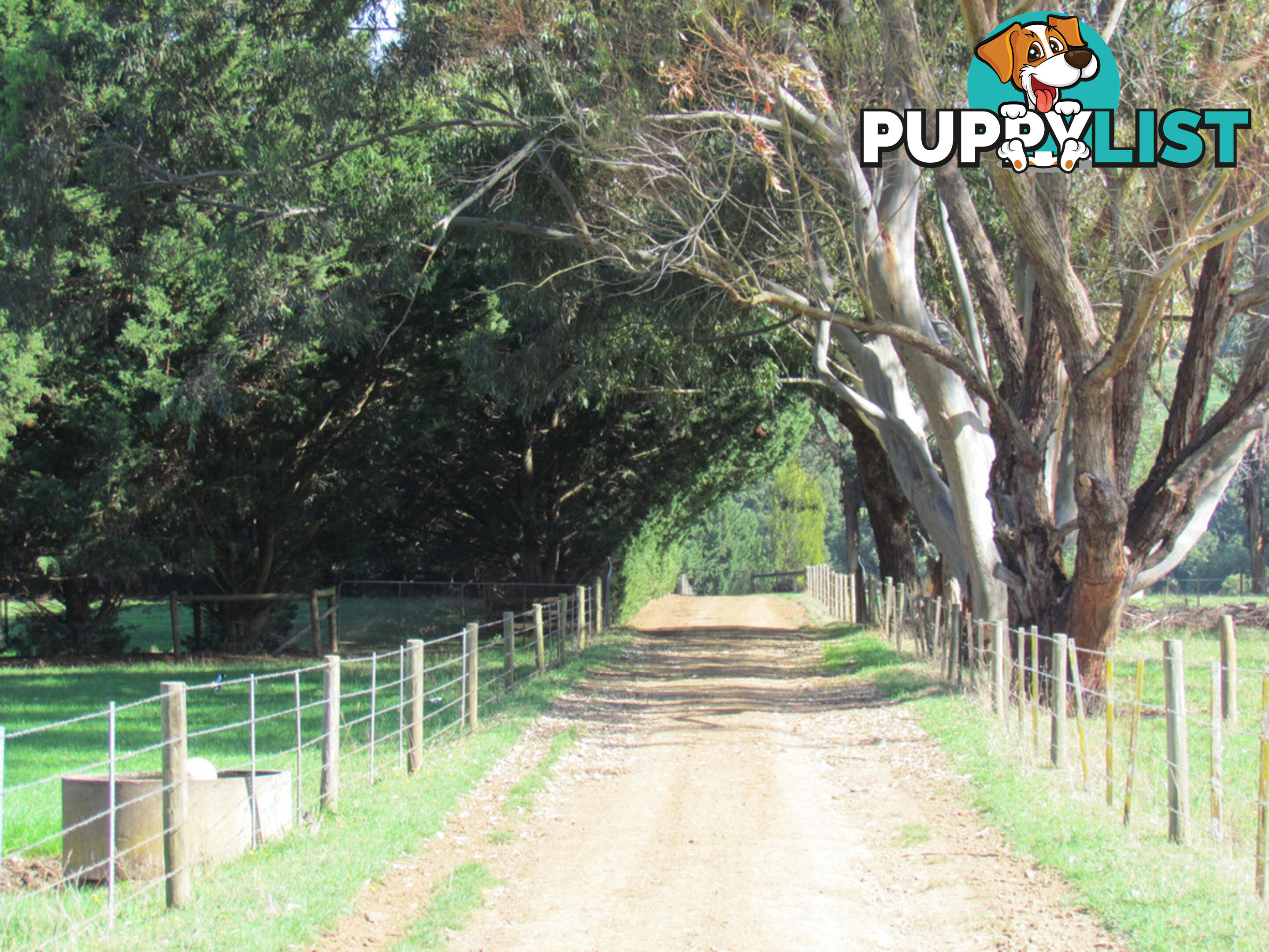 100 SAWYER ROAD NEERIM SOUTH VIC 3831