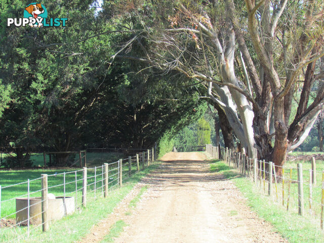 100 SAWYER ROAD NEERIM SOUTH VIC 3831