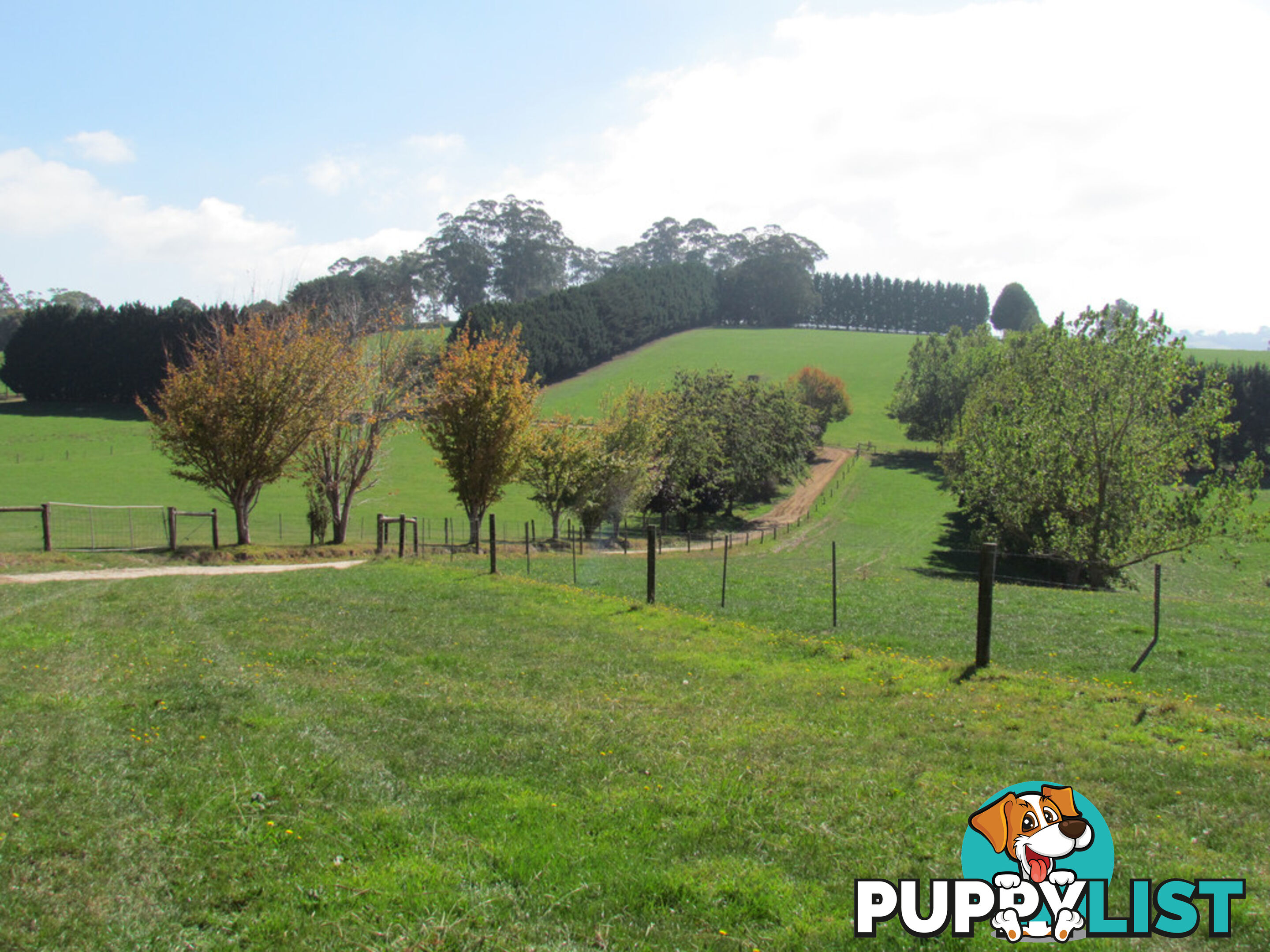 100 SAWYER ROAD NEERIM SOUTH VIC 3831
