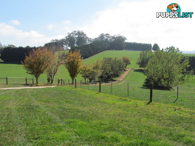 100 SAWYER ROAD NEERIM SOUTH VIC 3831