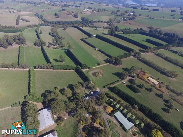 100 SAWYER ROAD NEERIM SOUTH VIC 3831