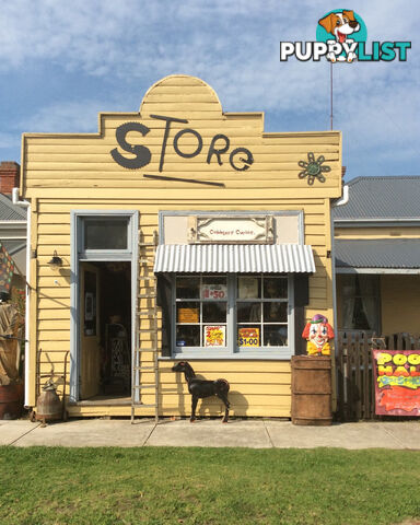 129 Commercial Rd YARRAM VIC 3971