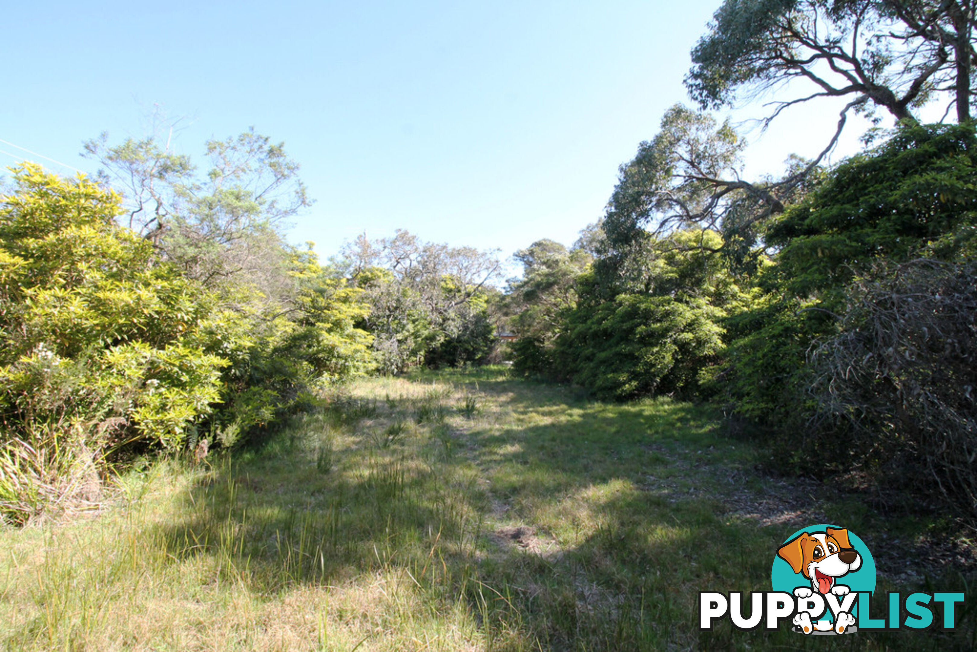 8 Melaleuca Ave WALKERVILLE VIC 3956