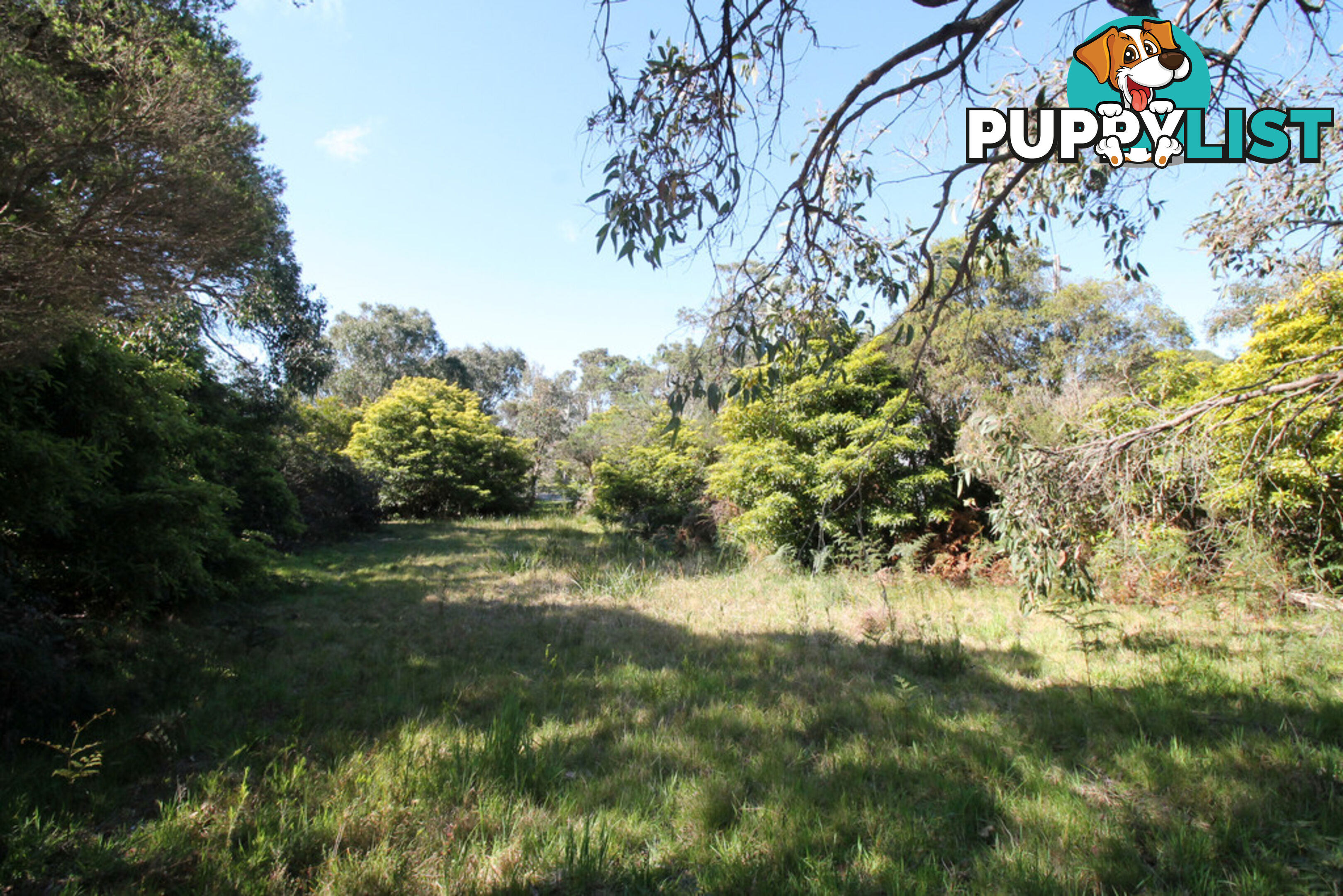 8 Melaleuca Ave WALKERVILLE VIC 3956