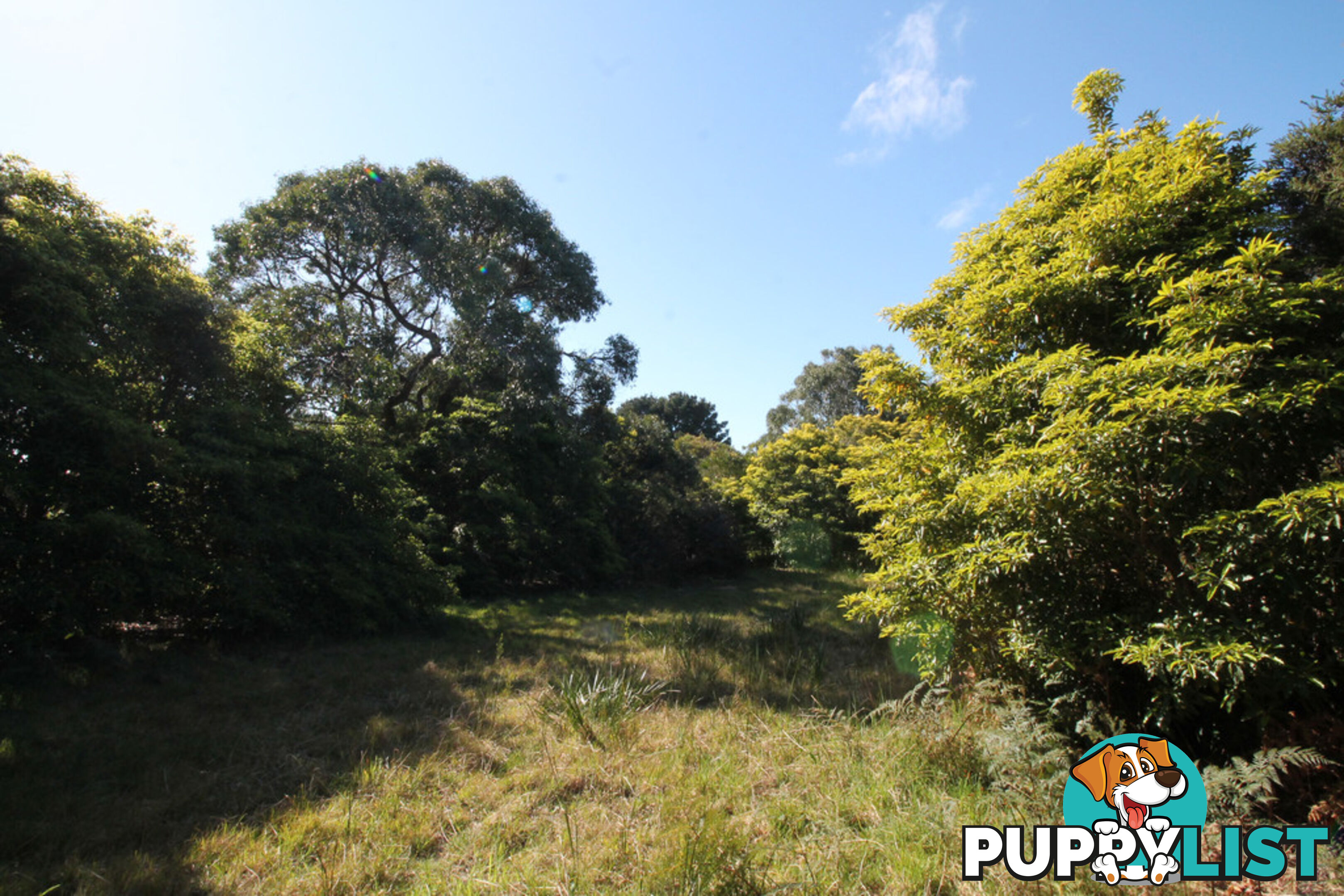 8 Melaleuca Ave WALKERVILLE VIC 3956