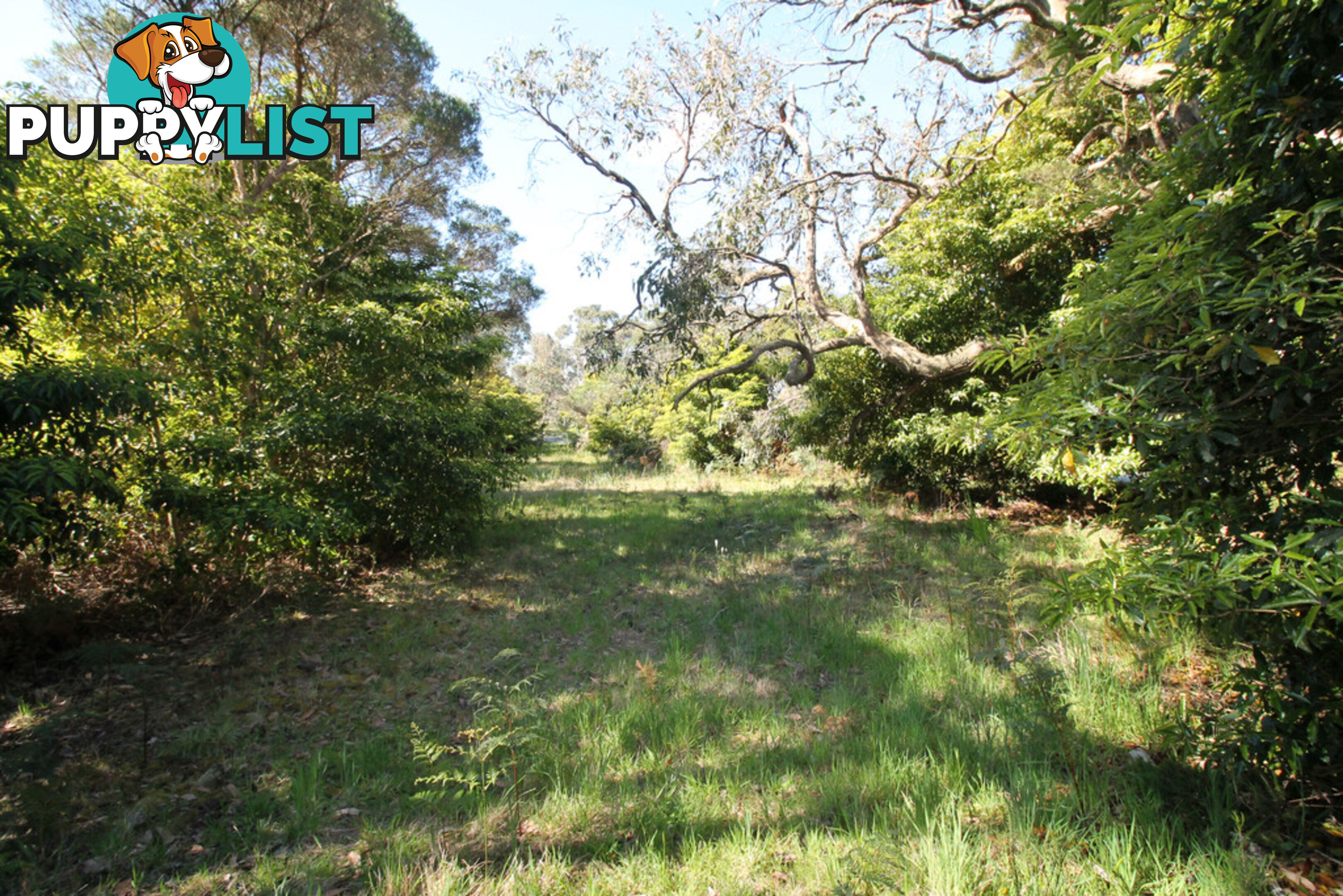 8 Melaleuca Ave WALKERVILLE VIC 3956