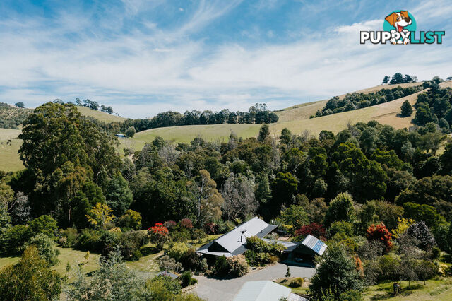 465 Foster-Mount Best Rd FOSTER VIC 3960