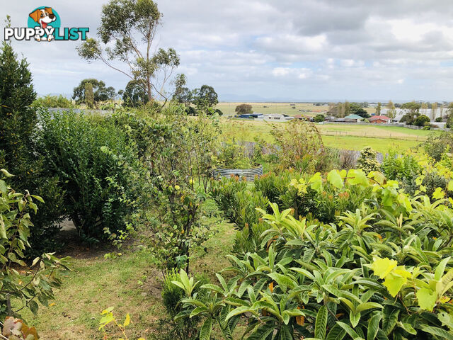 48 Welshpool Rd TOORA VIC 3962