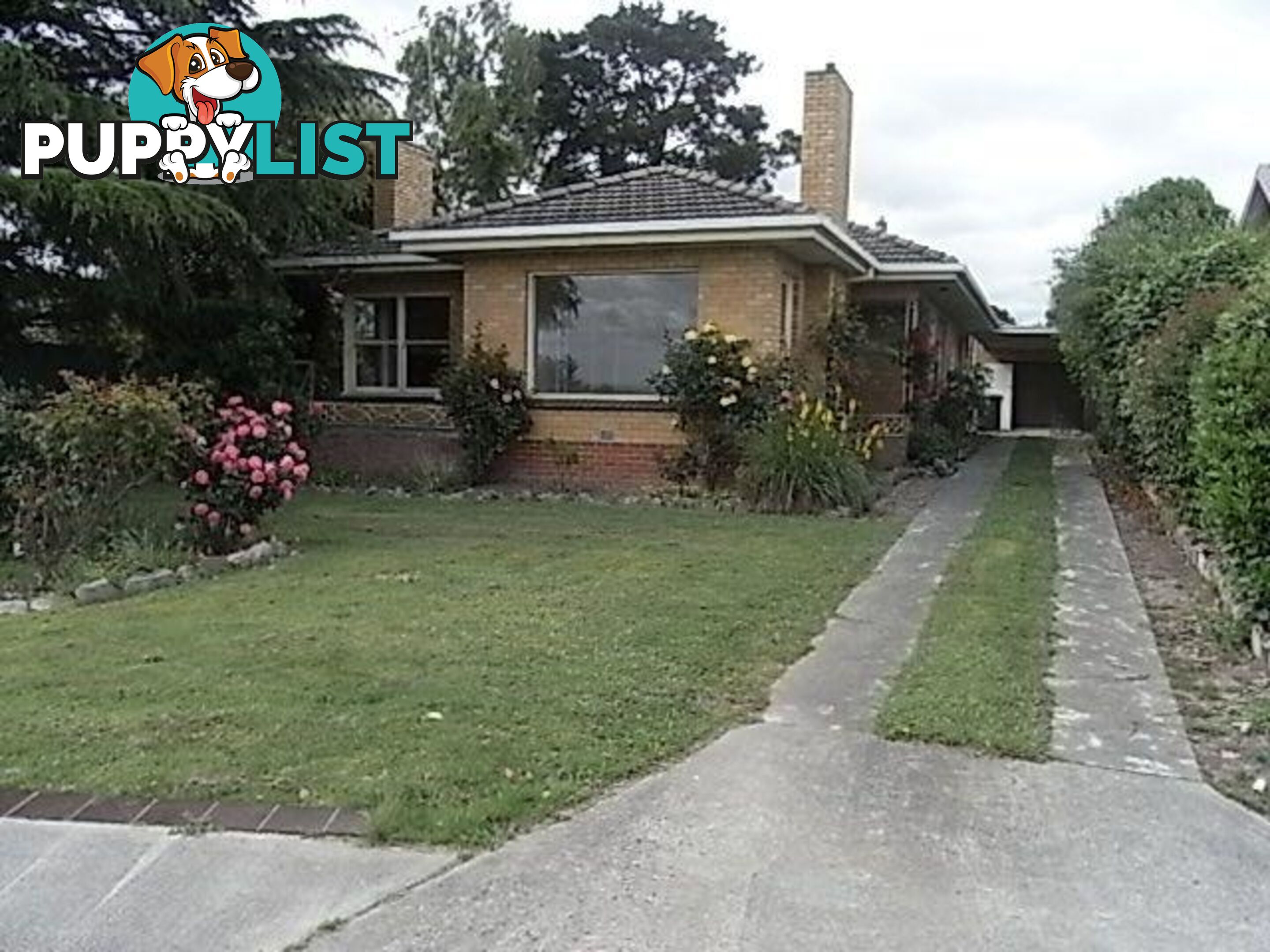 155 Princes Highway TRAFALGAR VIC 3824