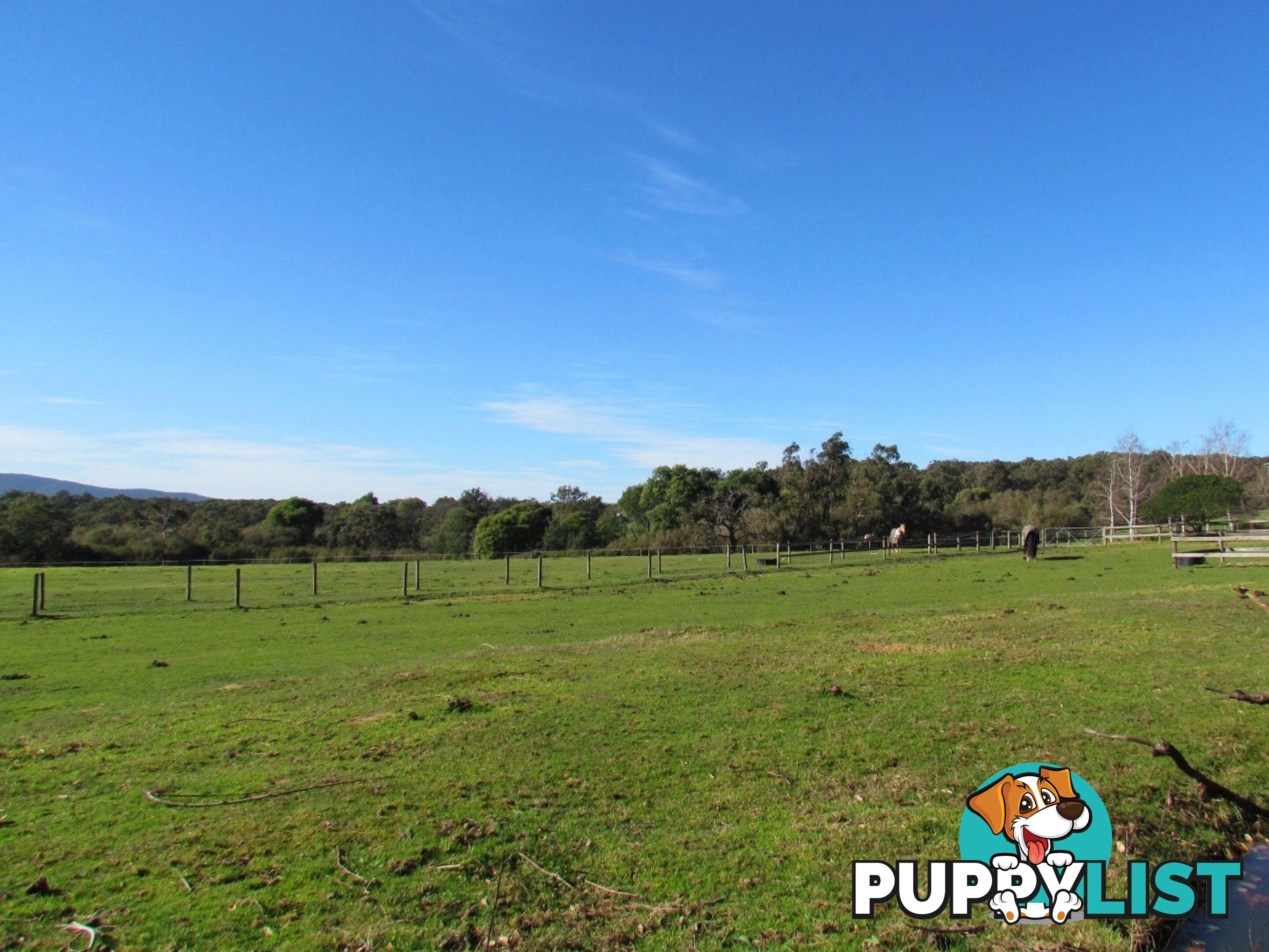 780 Tonimbuk Road TONIMBUK VIC 3815