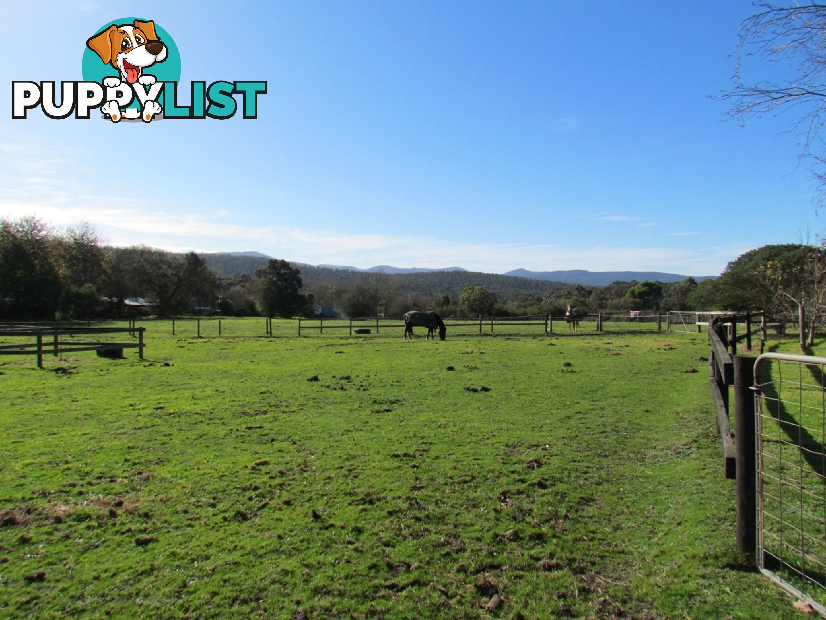 780 Tonimbuk Road TONIMBUK VIC 3815