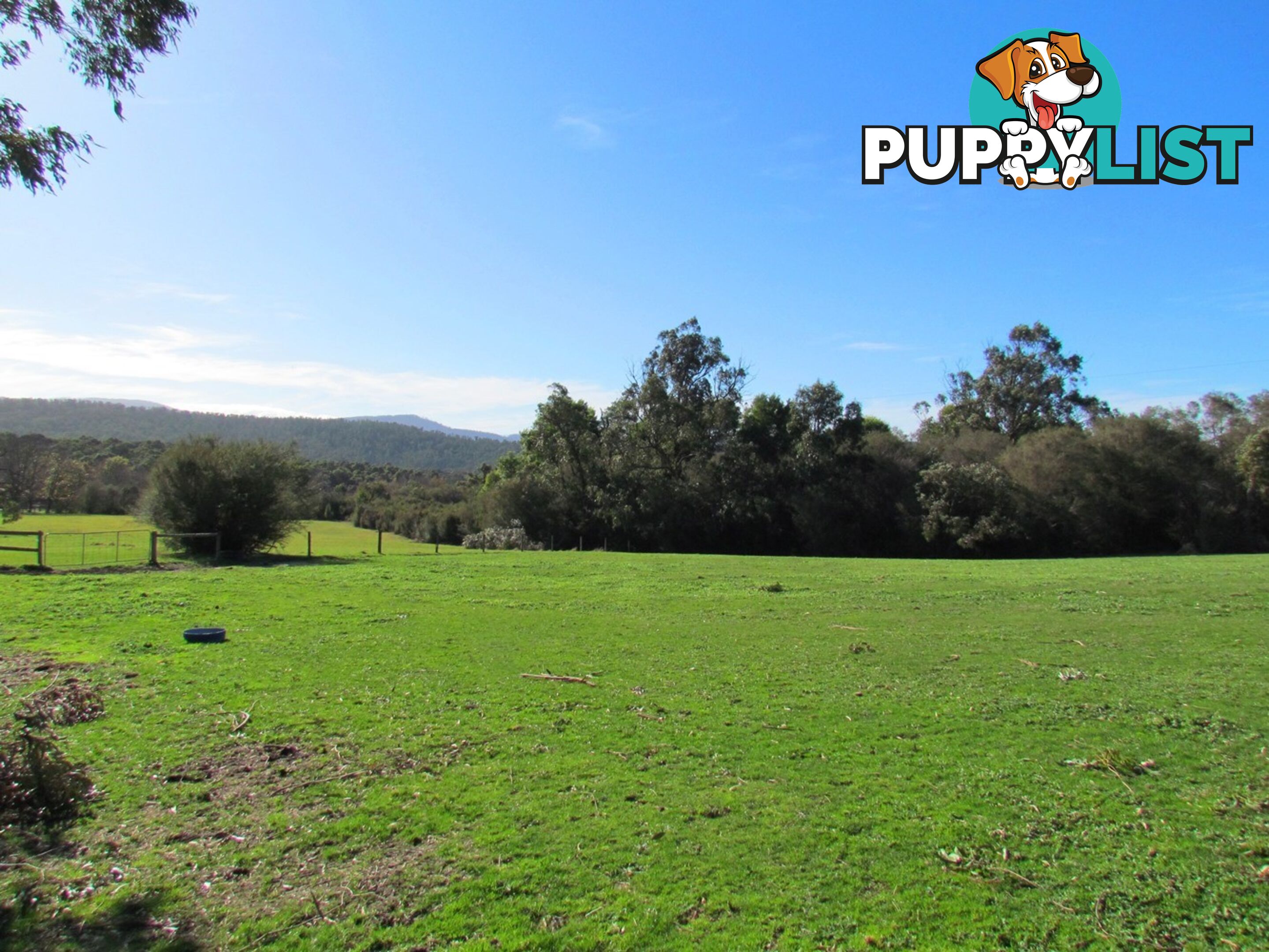 780 Tonimbuk Road TONIMBUK VIC 3815