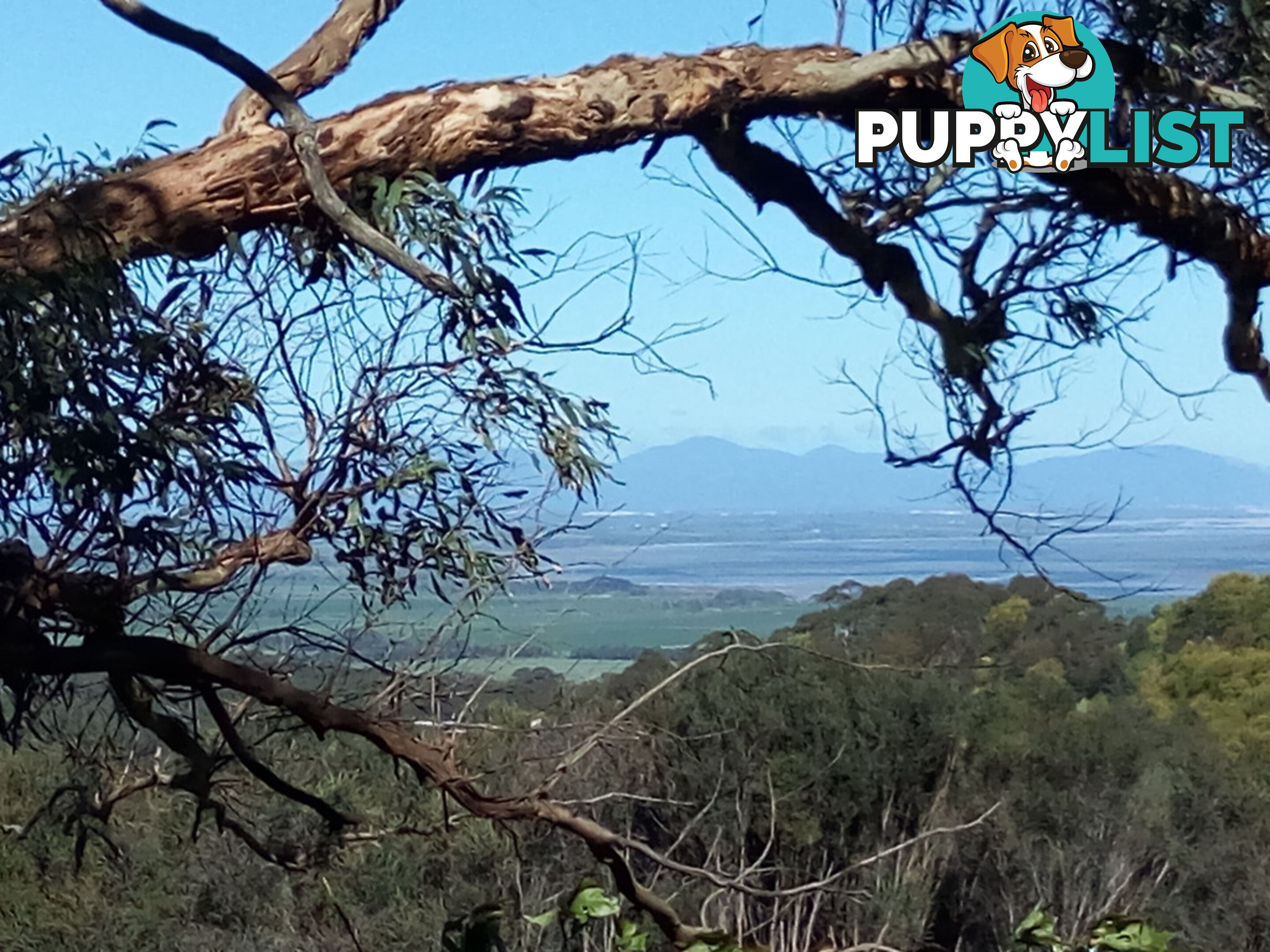 25 Mathers Rd FISH CREEK VIC 3959