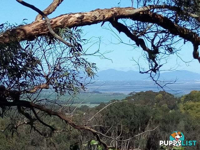 25 Mathers Rd FISH CREEK VIC 3959