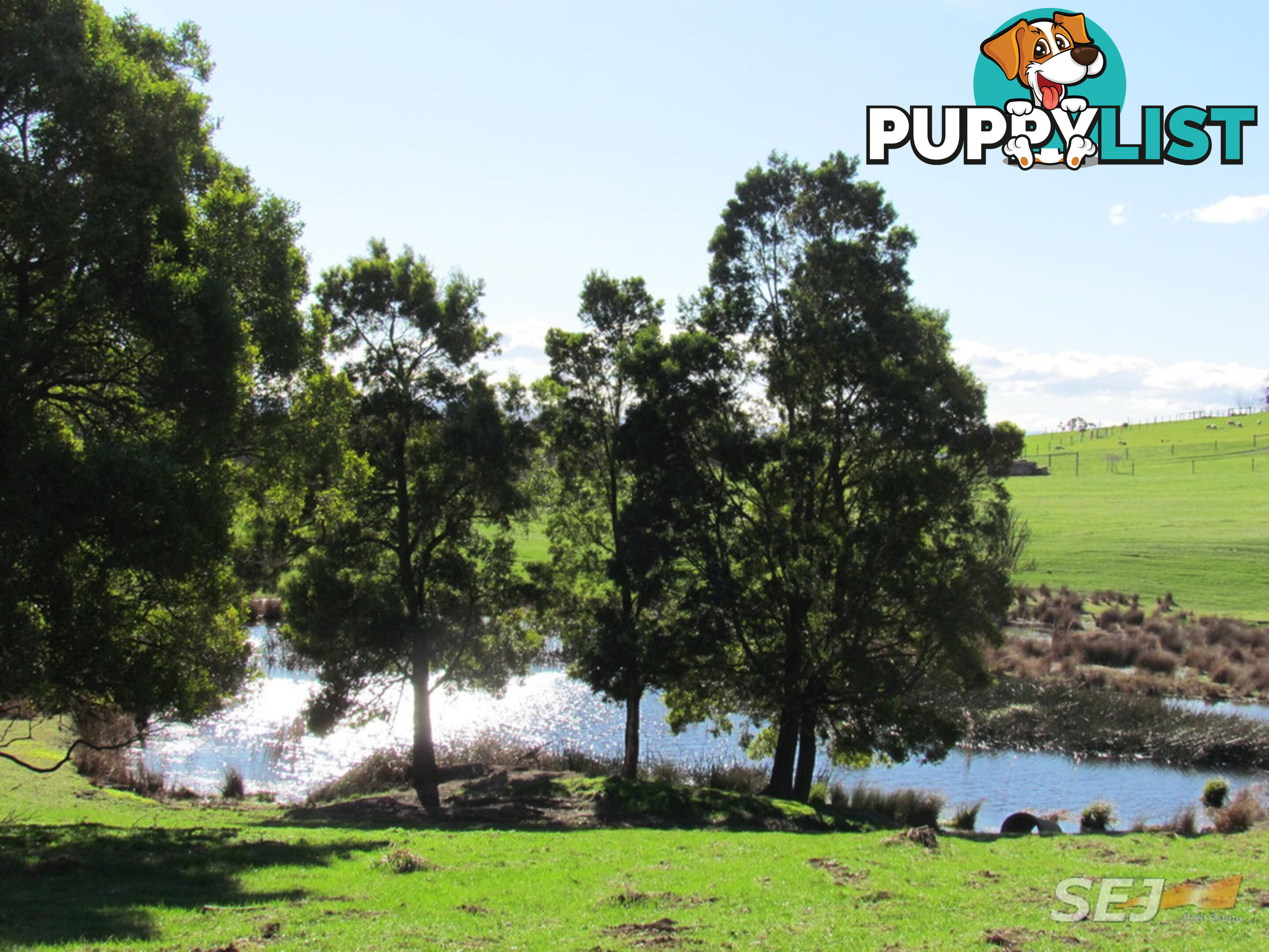 LOT 1 ON TP379503, RHODES ROAD DARNUM VIC 3822