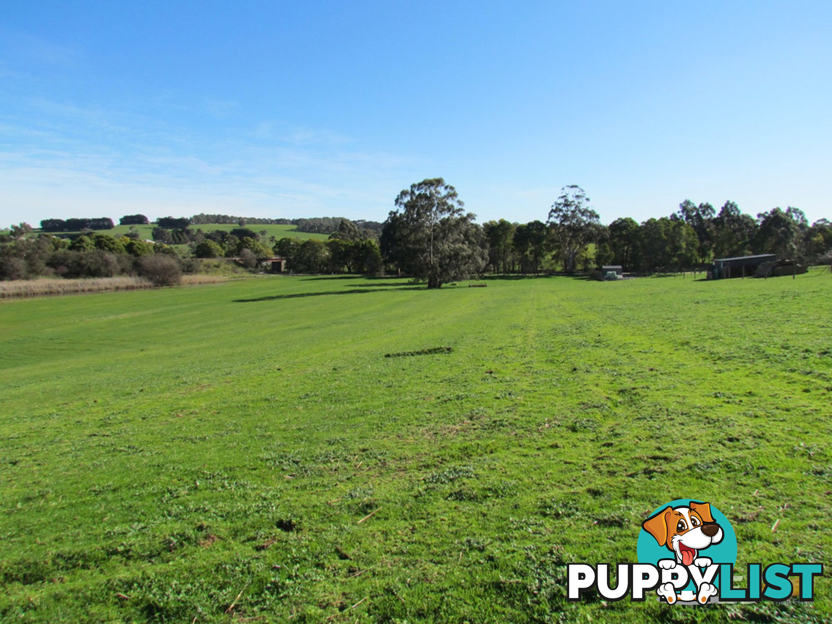 LOT 1 ON TP379503, RHODES ROAD DARNUM VIC 3822