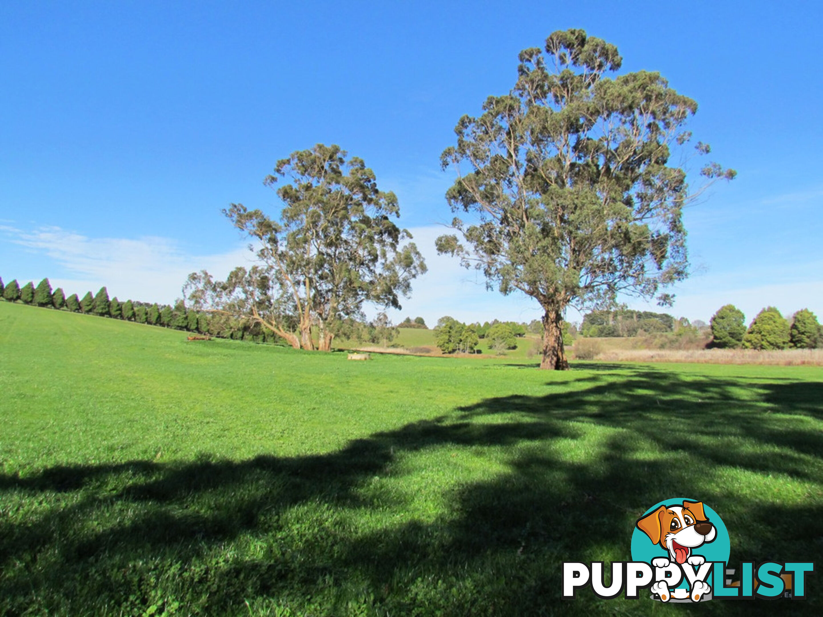 LOT 1 ON TP379503, RHODES ROAD DARNUM VIC 3822