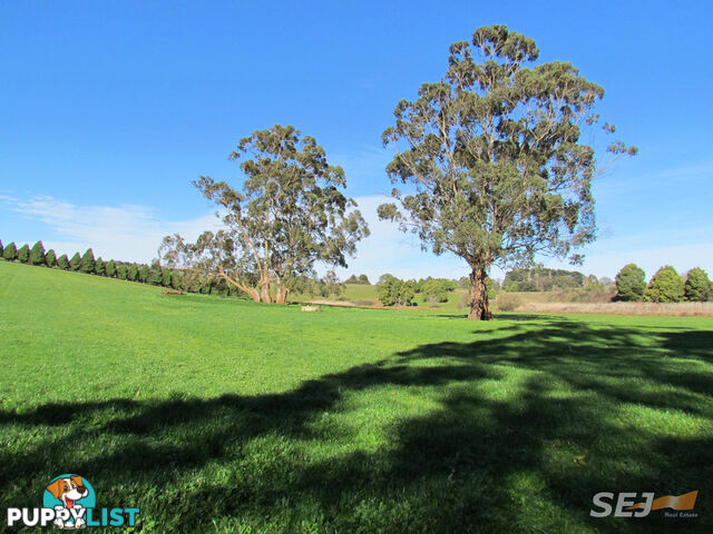 LOT 1 ON TP379503, RHODES ROAD DARNUM VIC 3822