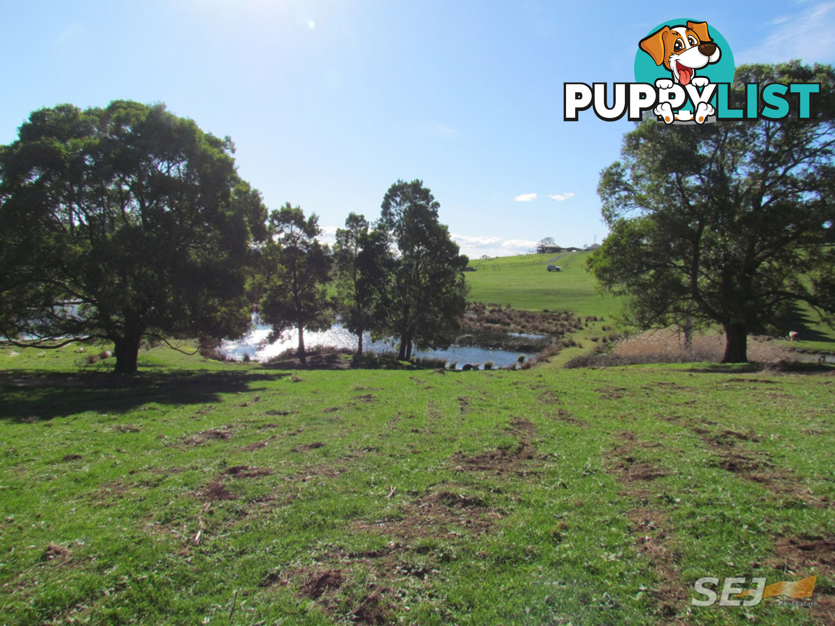 LOT 1 ON TP379503, RHODES ROAD DARNUM VIC 3822