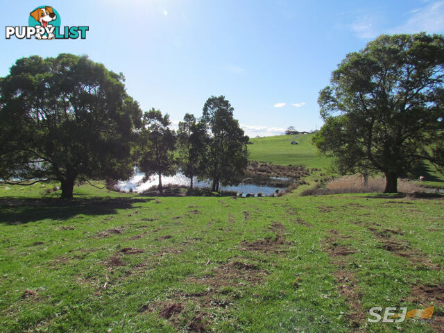 LOT 1 ON TP379503, RHODES ROAD DARNUM VIC 3822