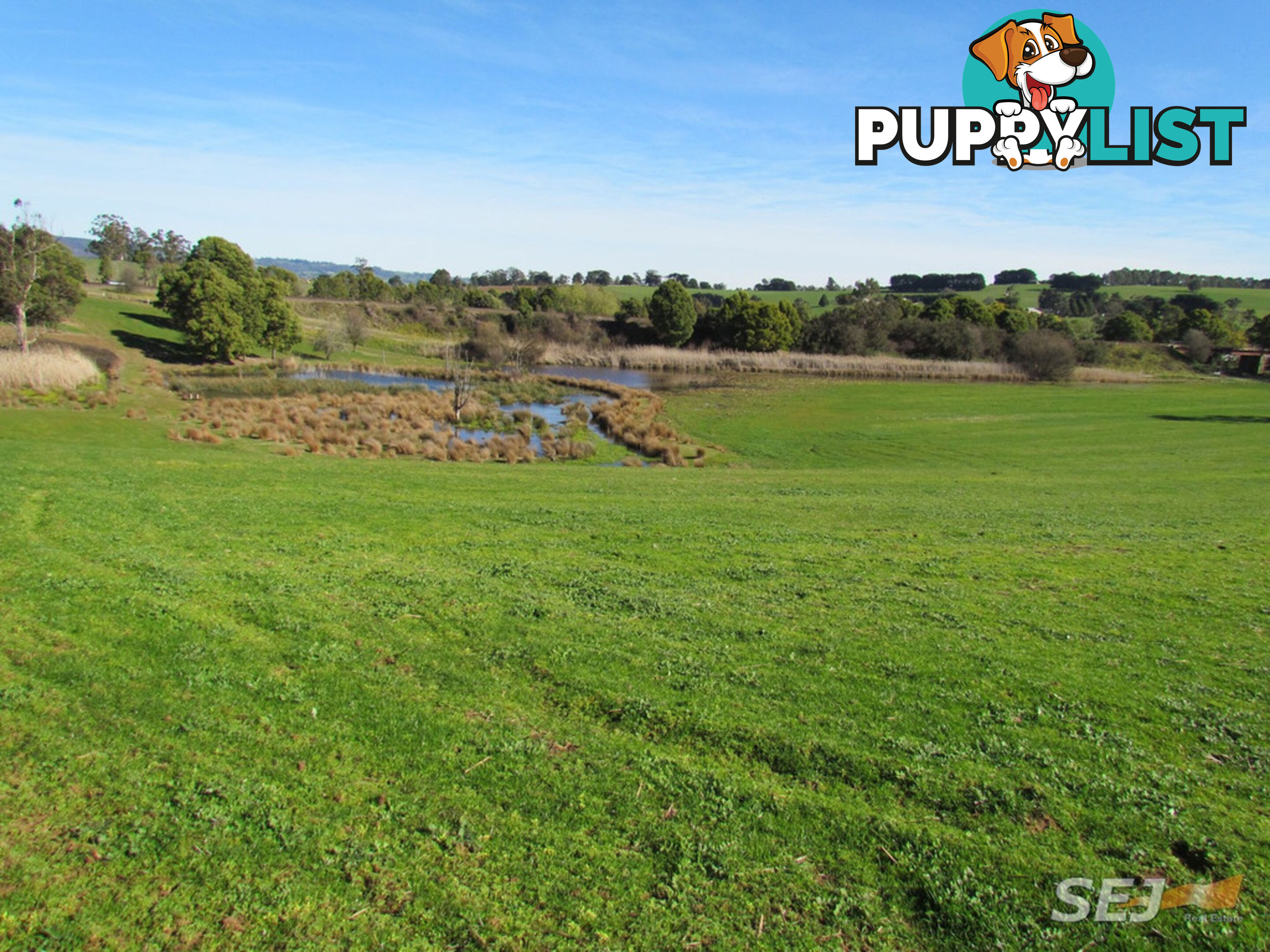LOT 1 ON TP379503, RHODES ROAD DARNUM VIC 3822