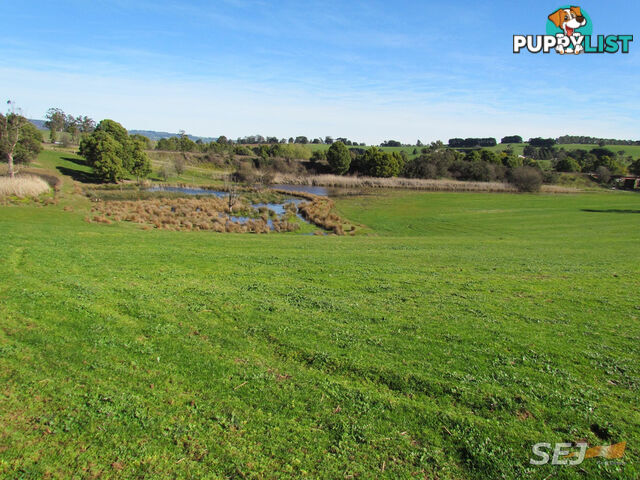 LOT 1 ON TP379503, RHODES ROAD DARNUM VIC 3822