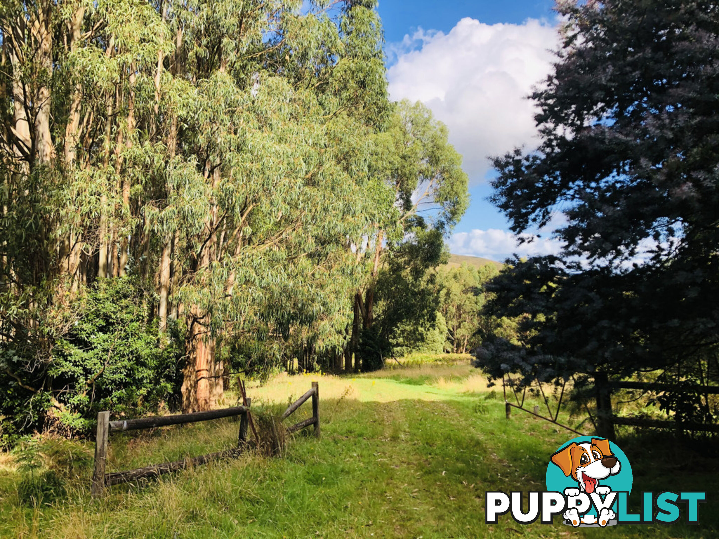 606 Woomera Creek Rd TOORA VIC 3962